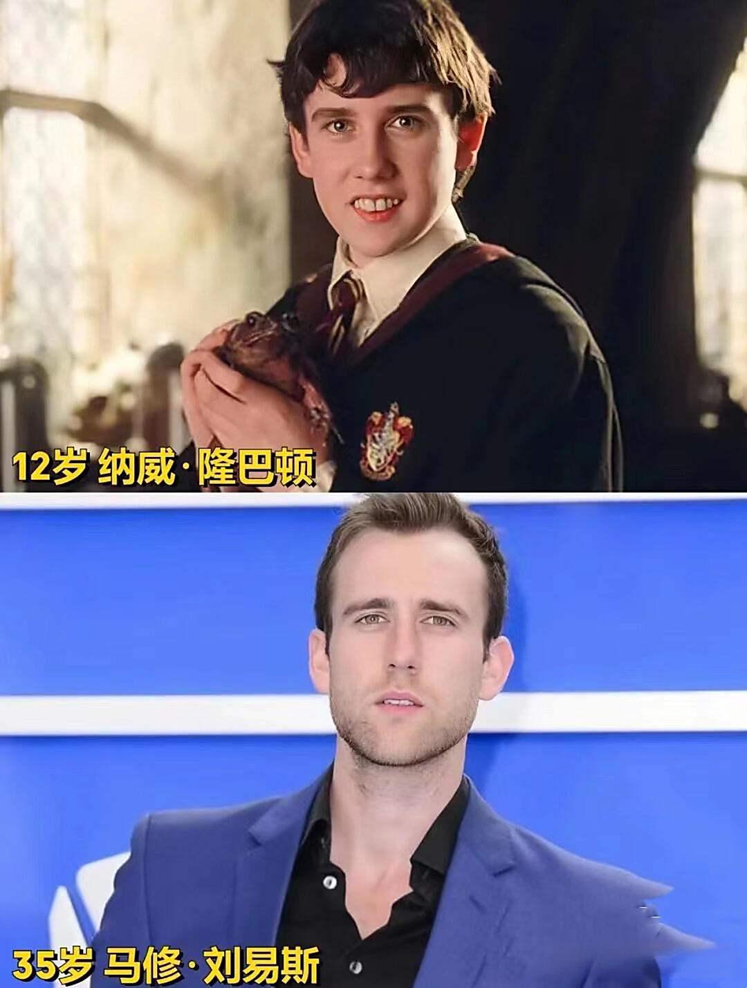 哈利波特今昔对比,谁长残了?#动态连更挑战