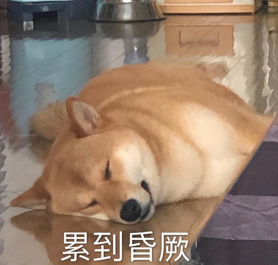 陕西延安一家人春节带狗子旅行,狗子怕累不愿走,爸妈无奈竟用棍子抬着