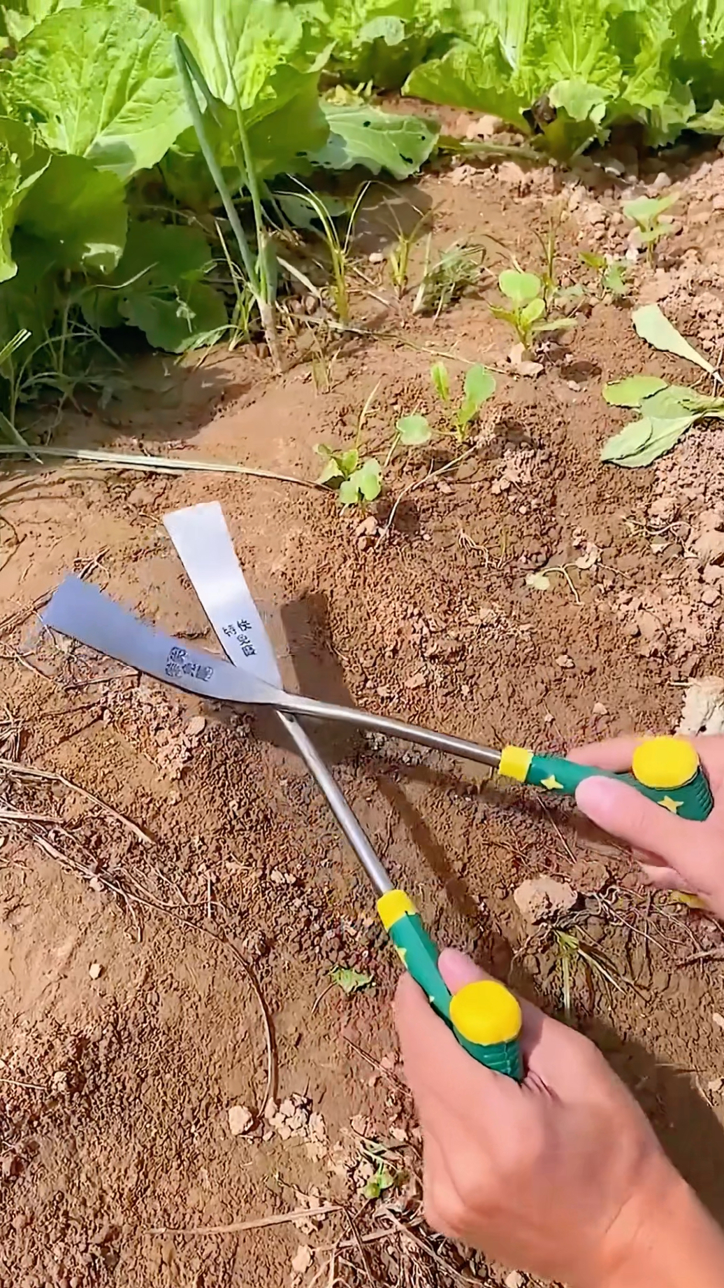 农村大爷自制锰钢#小铲子 用它种菜种花移苗,铲草挖野菜都很方便
