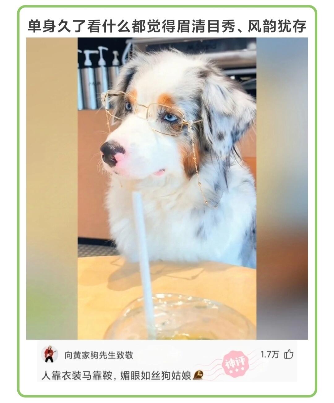 神评出没笑料扎堆速来围观