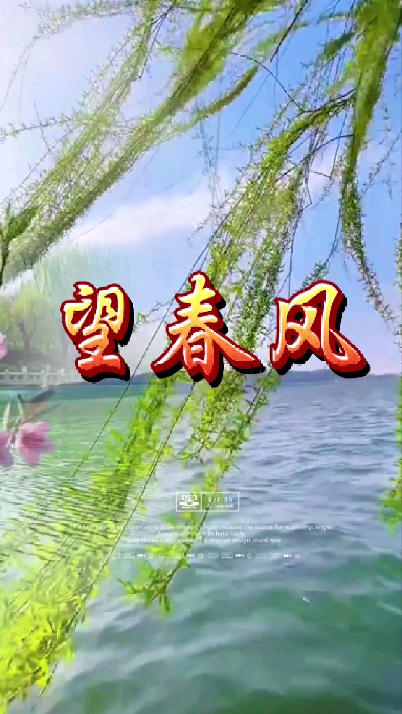 《望春风》/萨克斯独奏/经典纯音乐