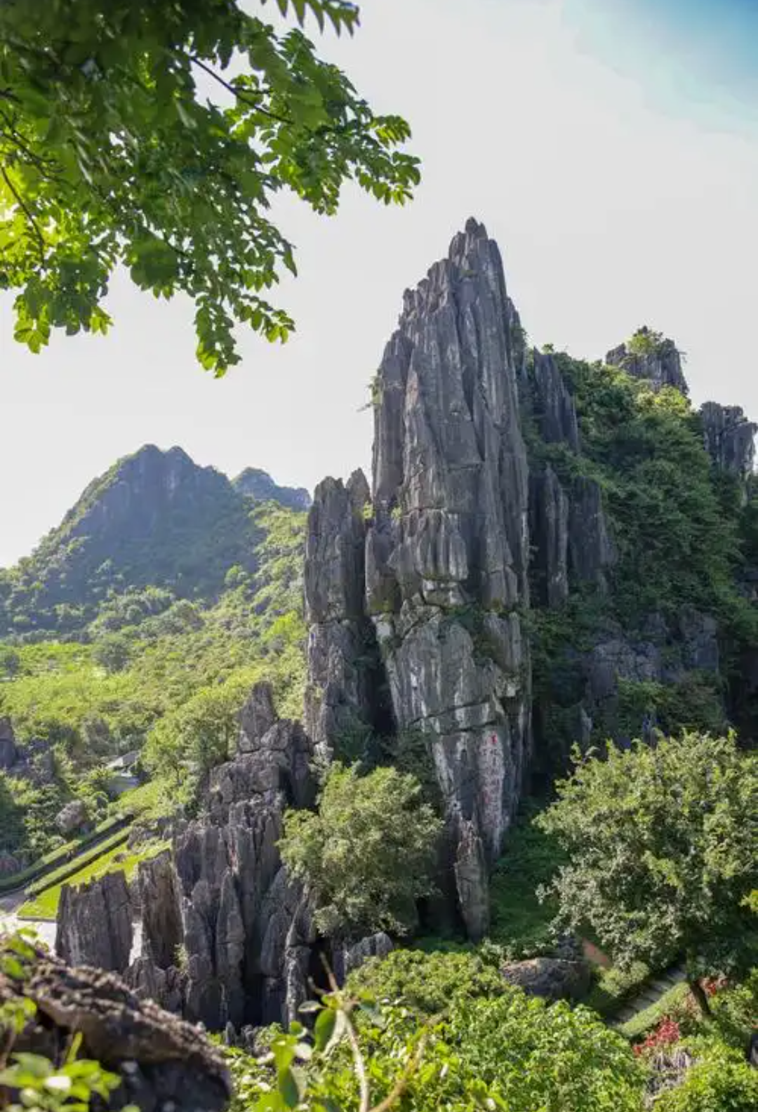 刷到朋友的一张图突然想起十多年前去阳春石林的那一天,虽然那石林也