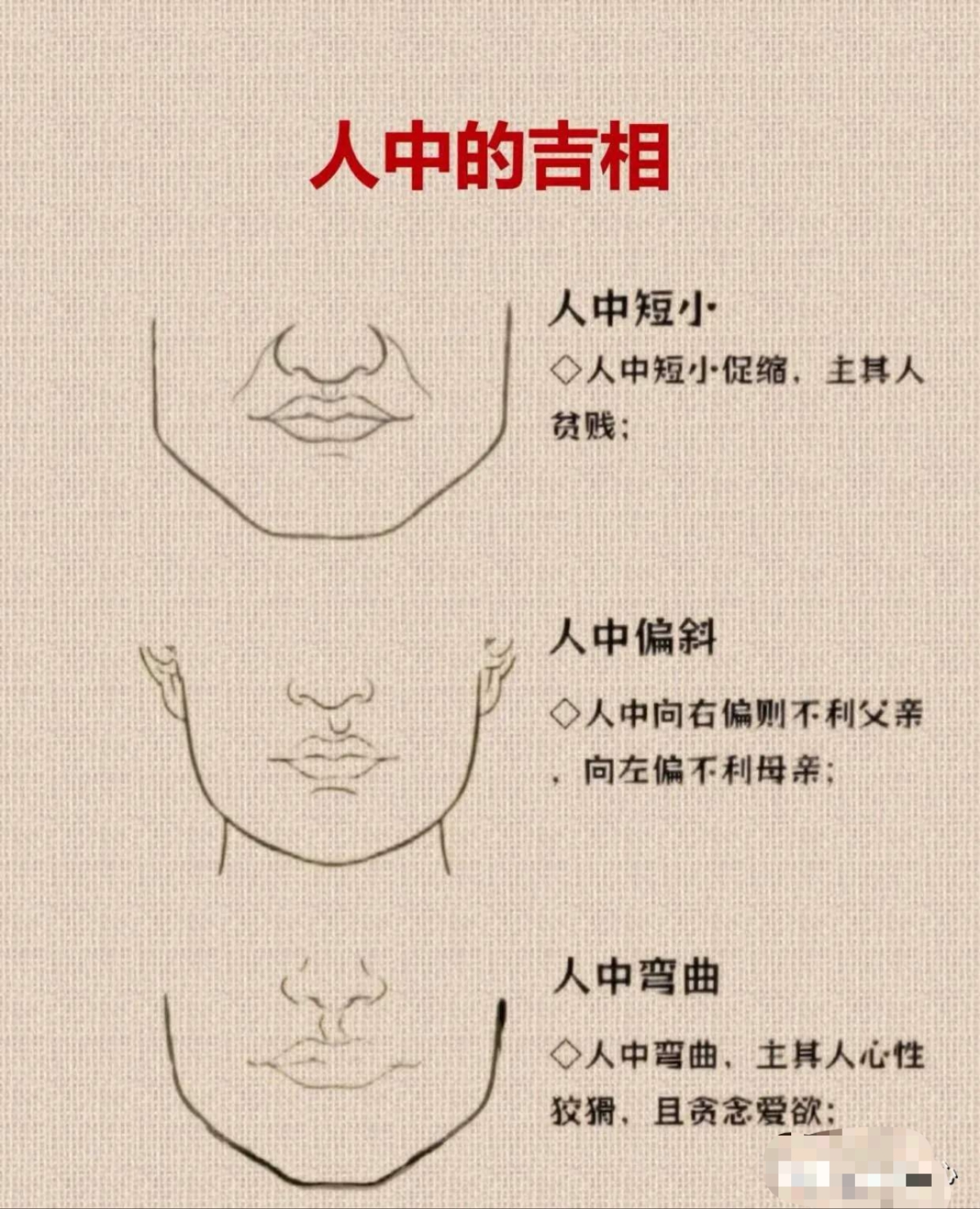 面相学里,人中藏着大学问