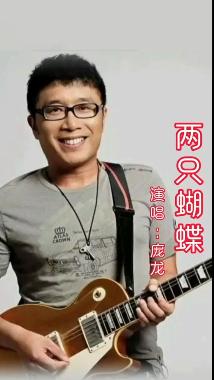 庞龙《两只蝴蝶》