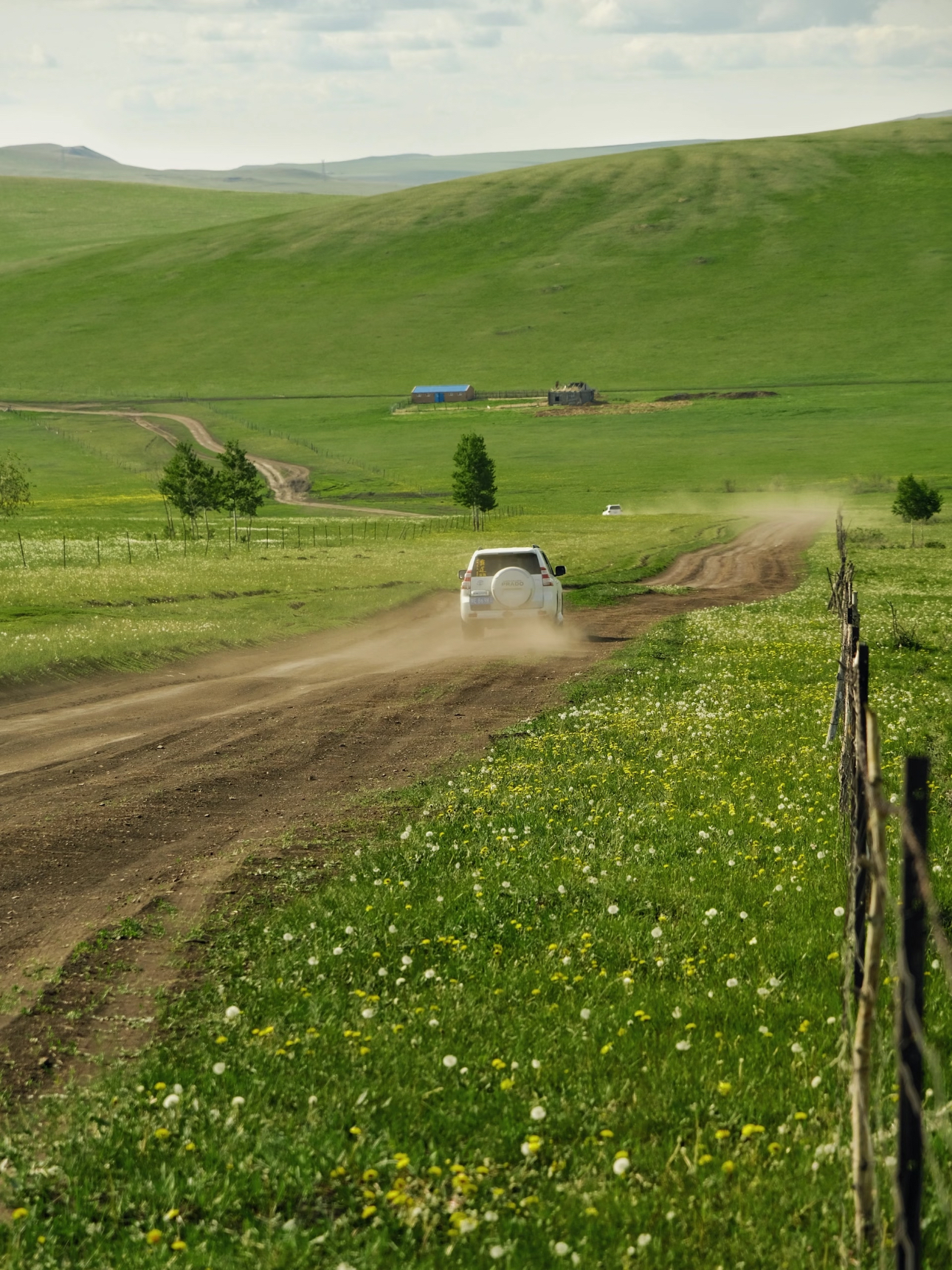 「草原是大地写了一半的长诗」 车驶出额尔古纳的刹那 风突然有了