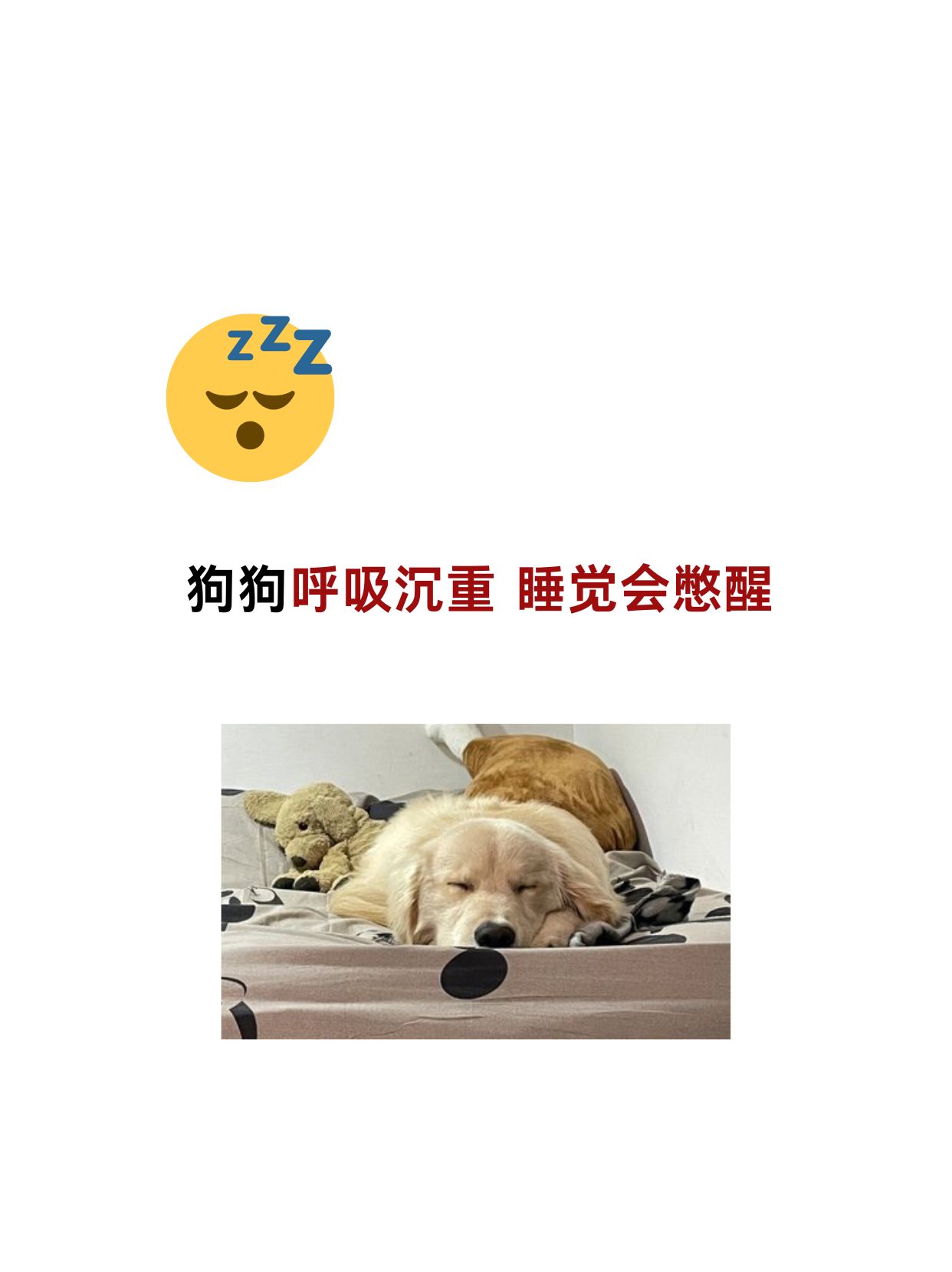 睡觉哭醒是什么原因百科在线