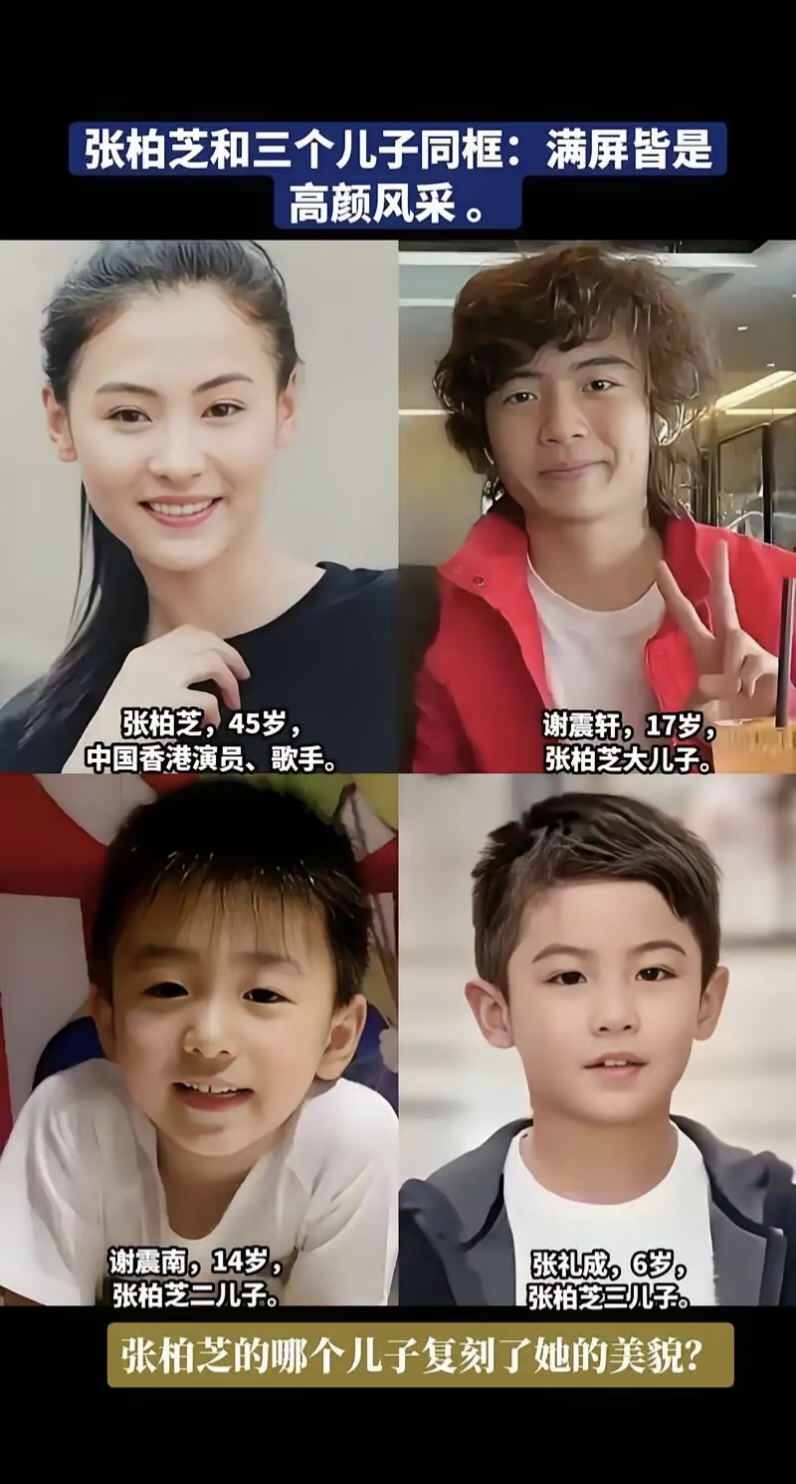 张柏芝三胎儿子生父到底是谁#