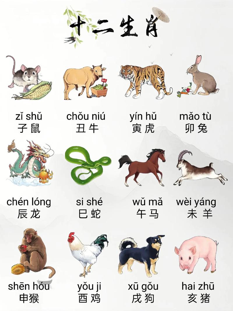 十二生肖运势马和蛇(十二生肖运势马和蛇相配吗)