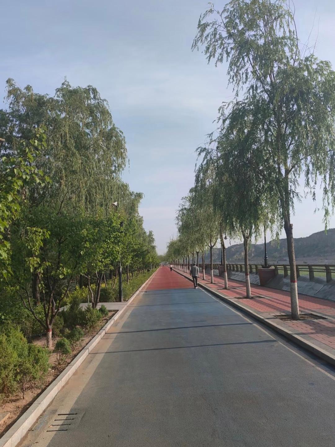 动态连更挑战 终于来到传说中的神木县啦真的是名不虚传呀都说它