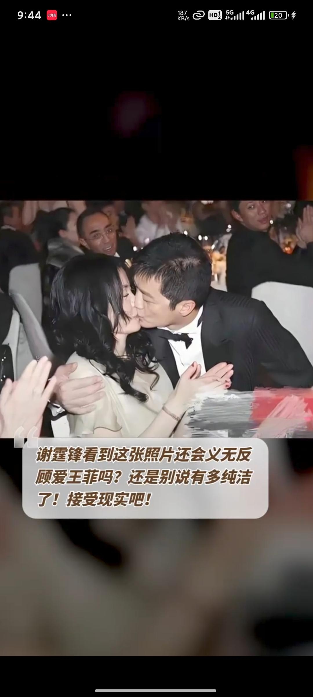 谢霆锋和王菲的感情,到底纯不纯洁呢?