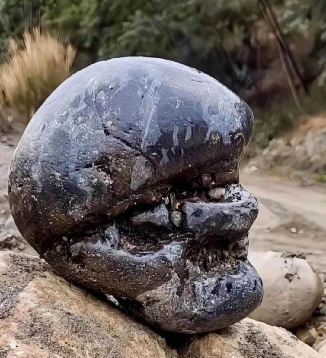 瞧这块石头,形状怪异独特,纹理像是神来之笔绘就的绝美画作,每一道