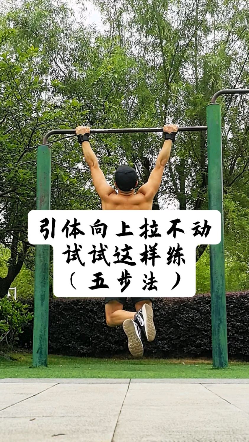 新手引体向上五步法,试试