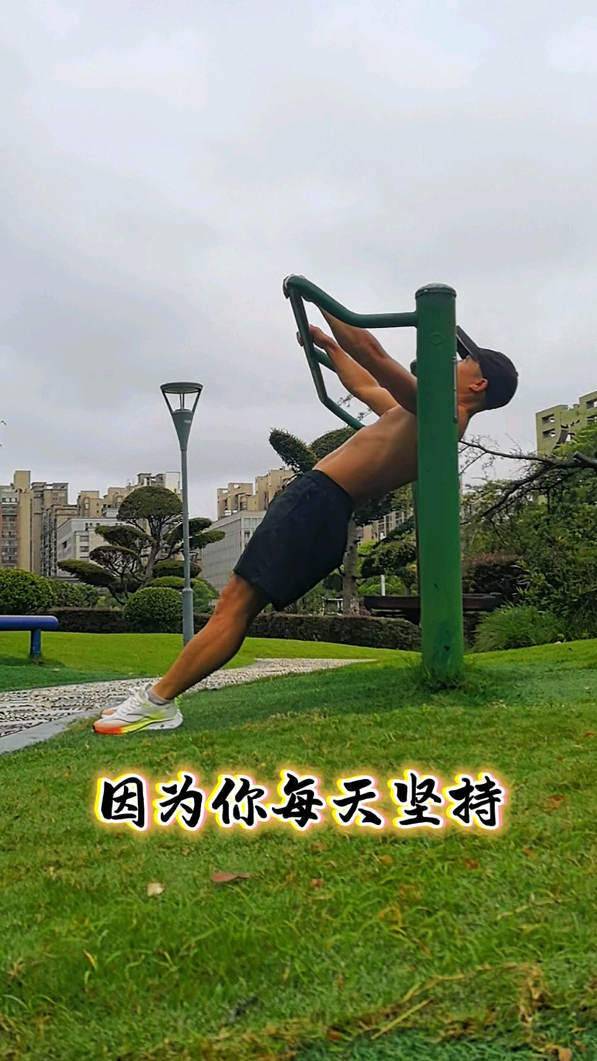 三个动作,澳式引体,反手引体,单杠矮杠练起来