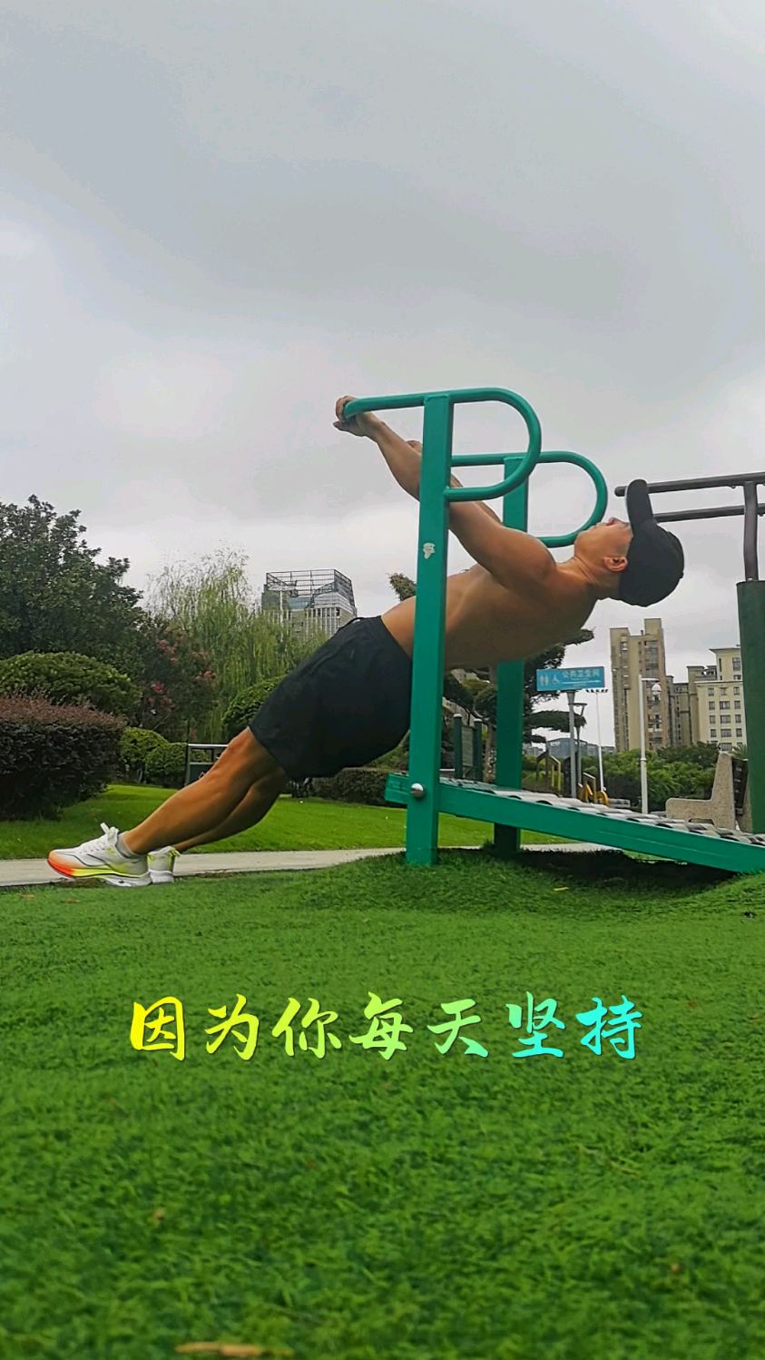 三个动作,澳式引体,反手引体,单杠矮杠练起来