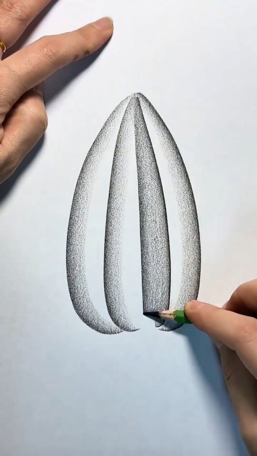 教你素描画香瓜子