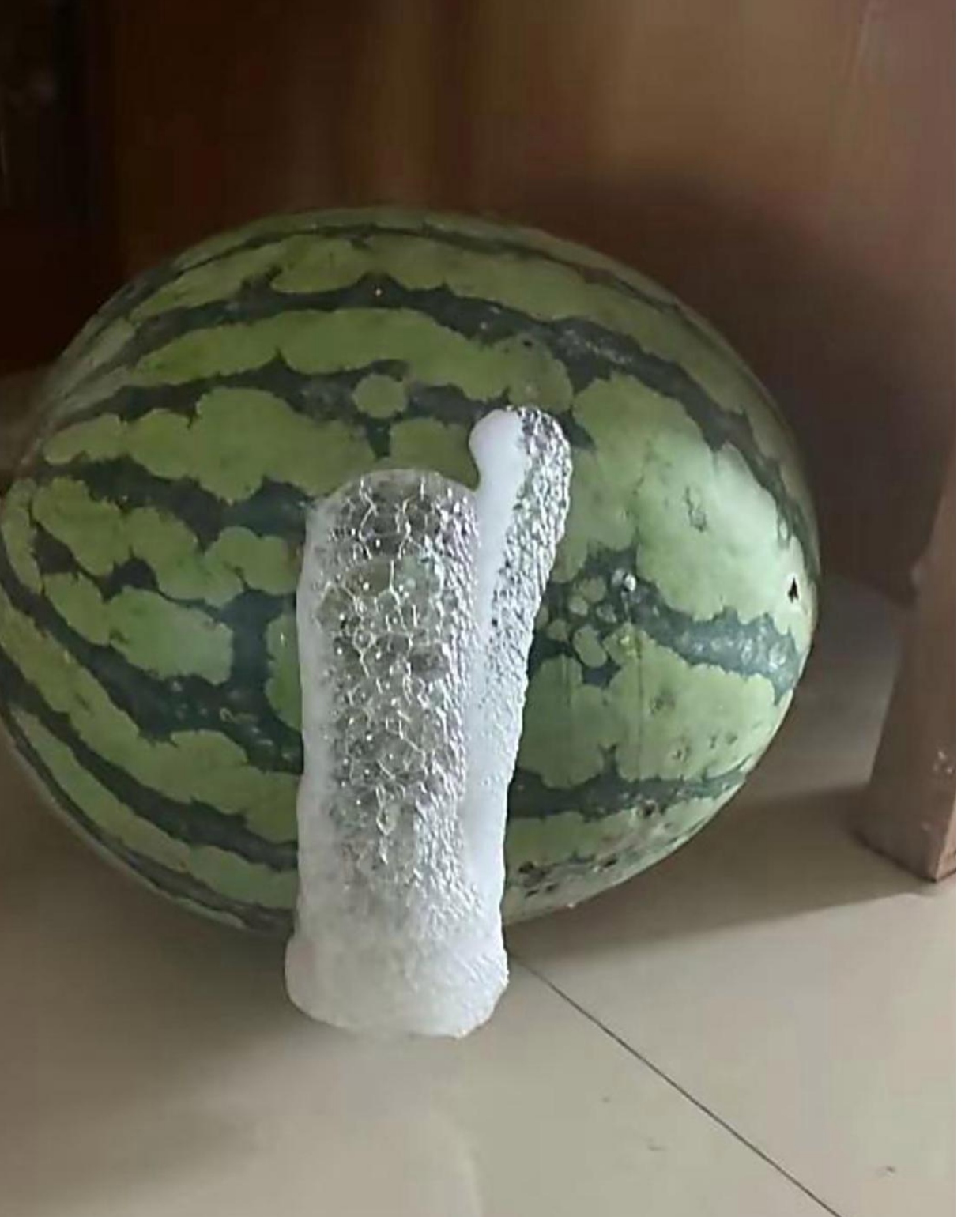 一晚上过去瓜皮上就布满了密密麻麻的泡沫看上去像裹了层云朵做的