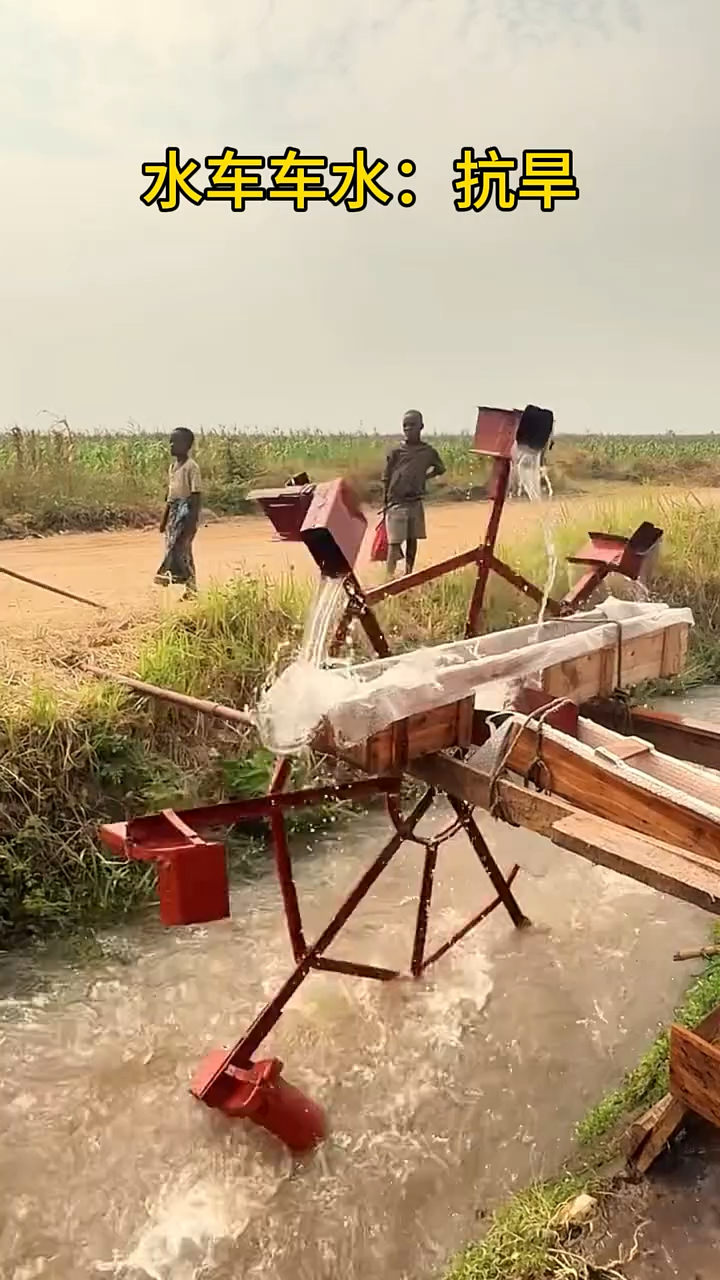 你是否见过这样的水车
