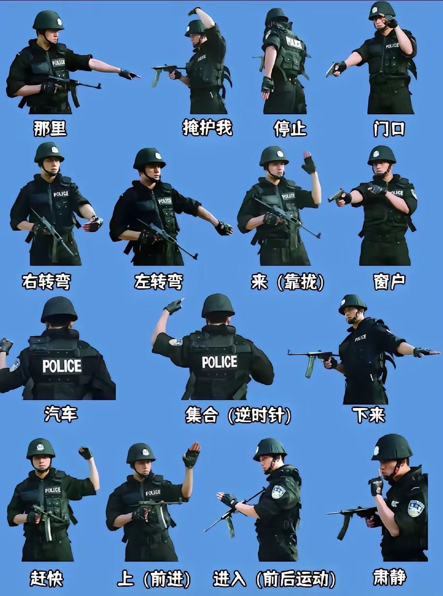 特警手势的含义解析,你能看懂多少