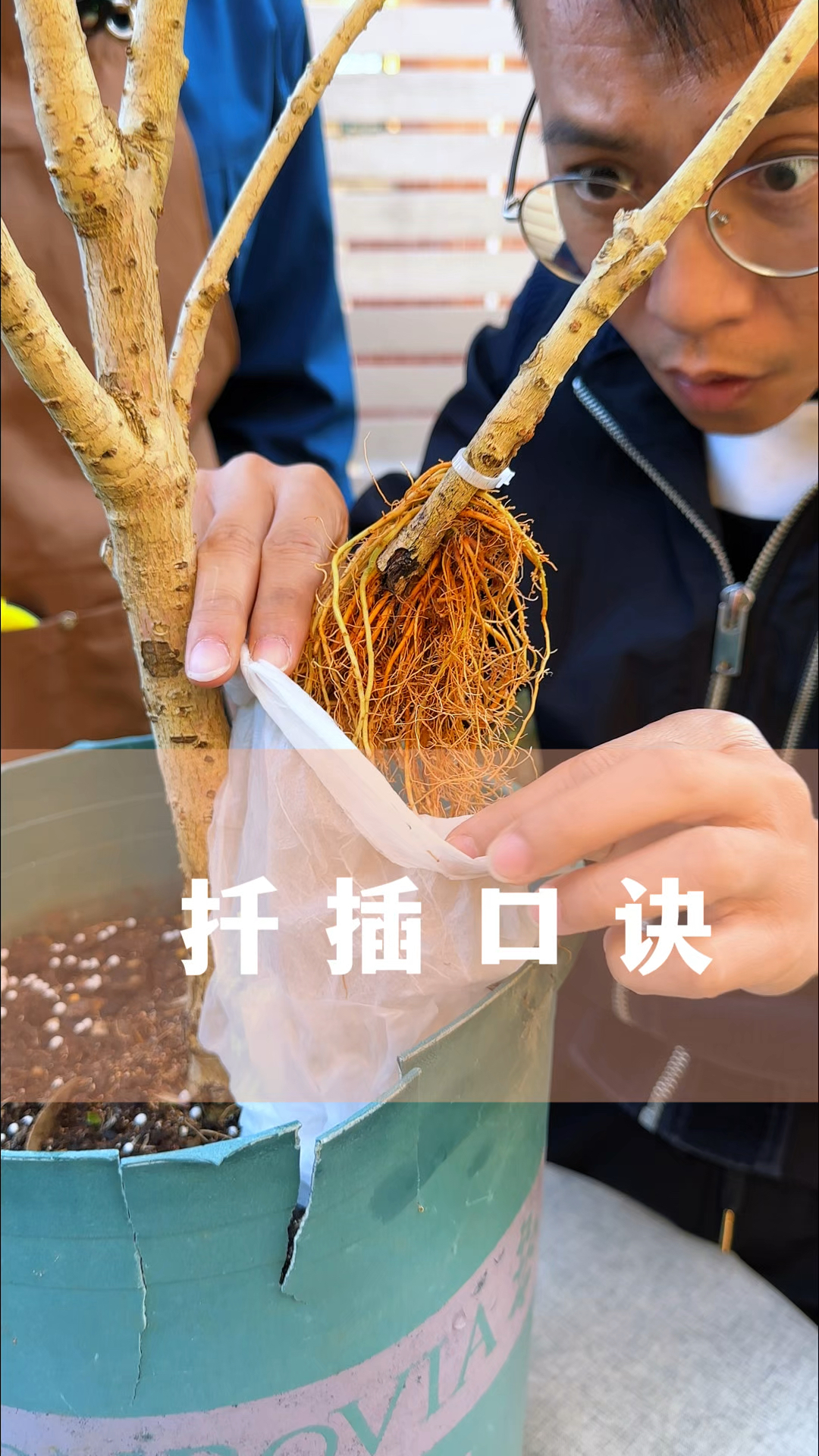 八下生物扦插视频讲解(八下生物扦插视频讲解教程)  第1张 八下生物扦插视频讲解(八下生物扦插视频讲解教程)  第1张