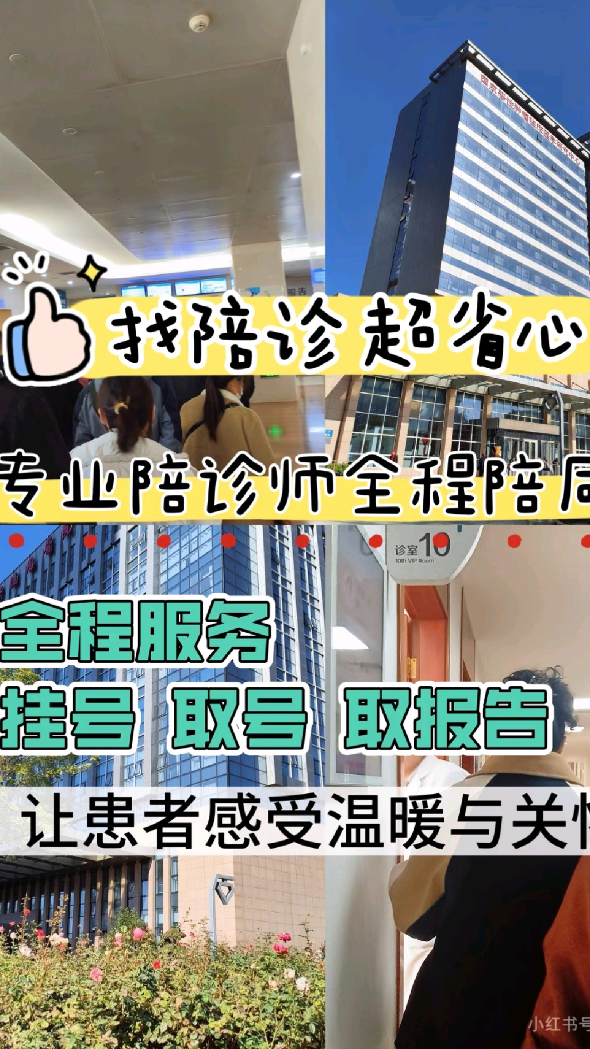 包含积水潭医院代诊服务，陪诊挂号一站式全流程陪护，就医全程零操心的词条