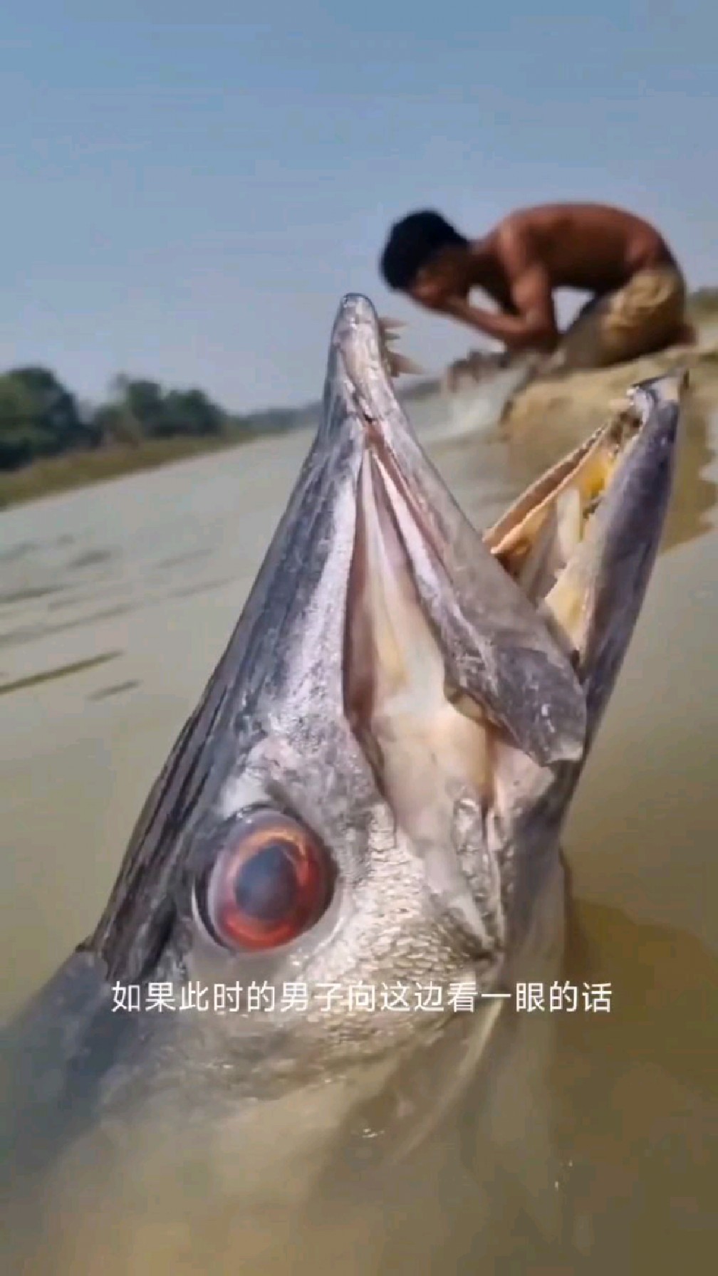 男子被食人鱼攻击