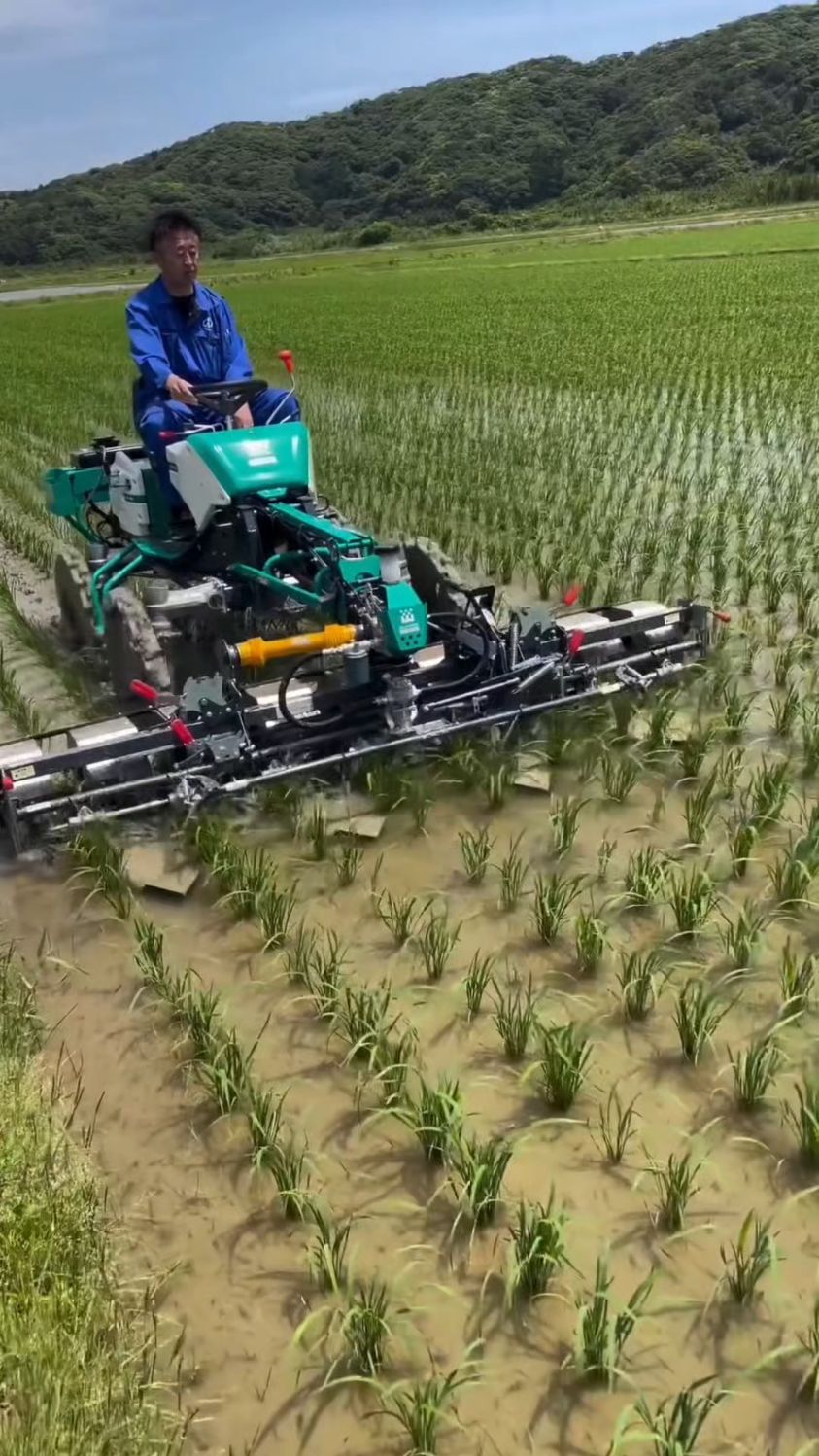 日本农村稻田机械化除草