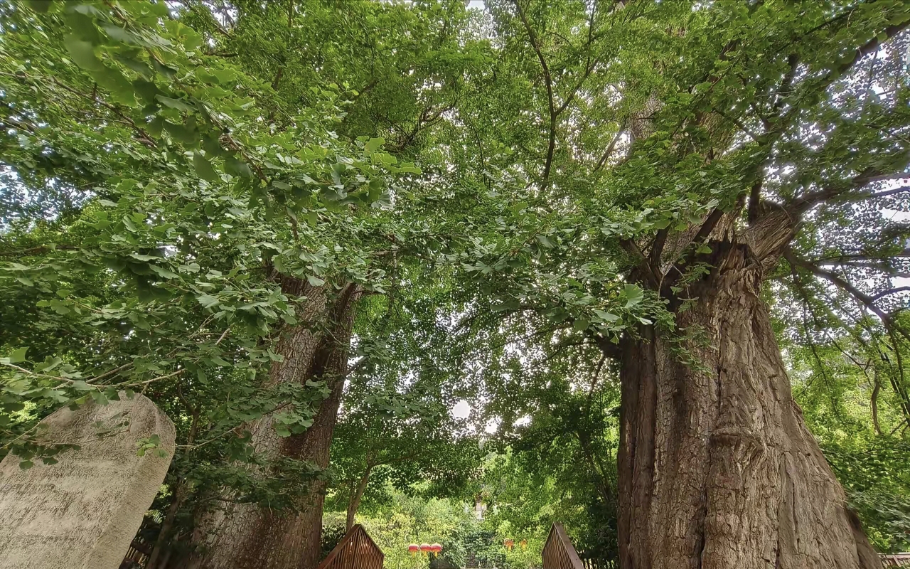 玉泉寺超度的地方-玉泉寺求什么比较灵