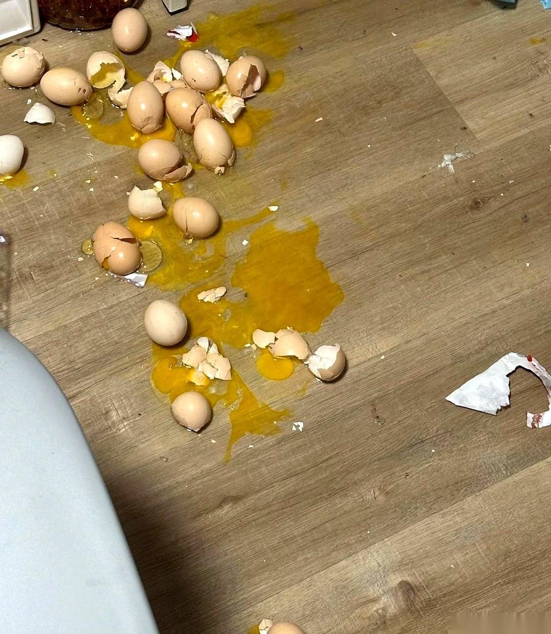 而那个罪魁祸首正趴在狗窝里嘴边还沾着一圈没舔干净的蛋黄