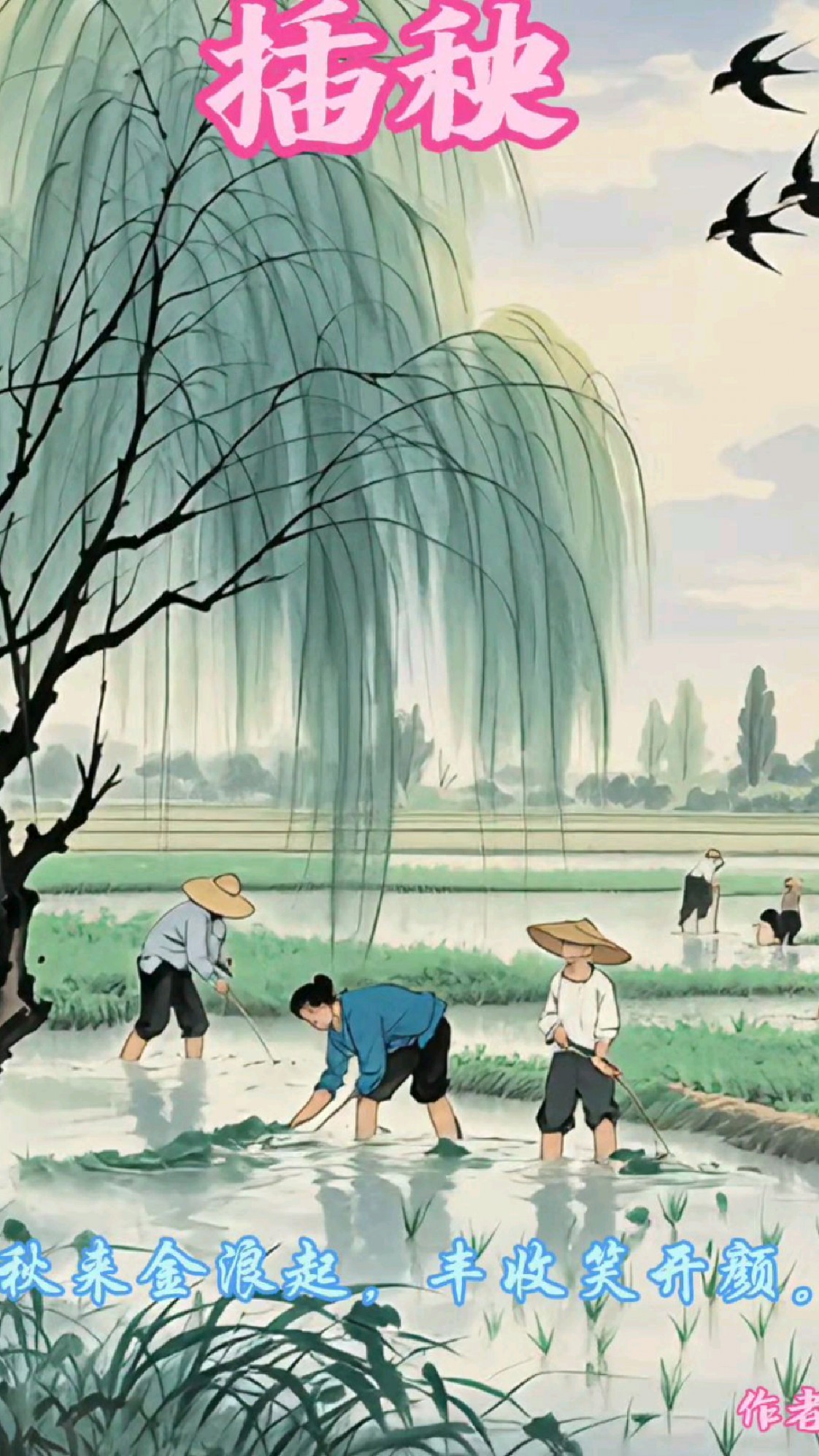 《田间地头插秧忙》