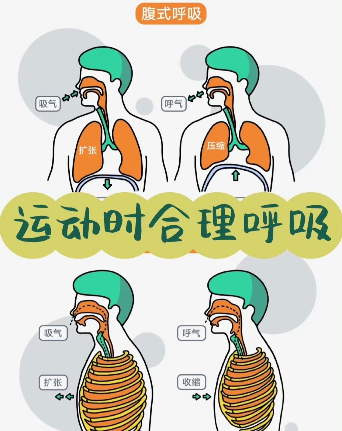 运动时采用何种形式的呼吸,应根据有利于技术动作的运