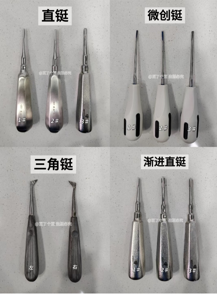 认识牙科的常见牙挺