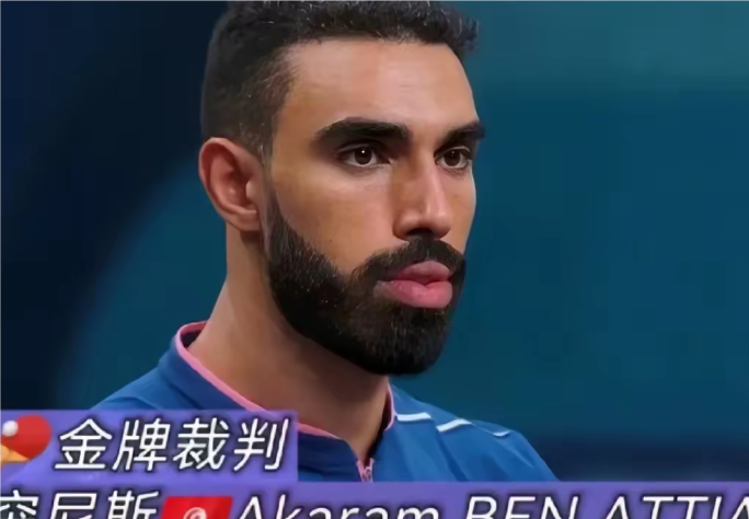 世界杯决 赛主裁判 权威视角相关图片3