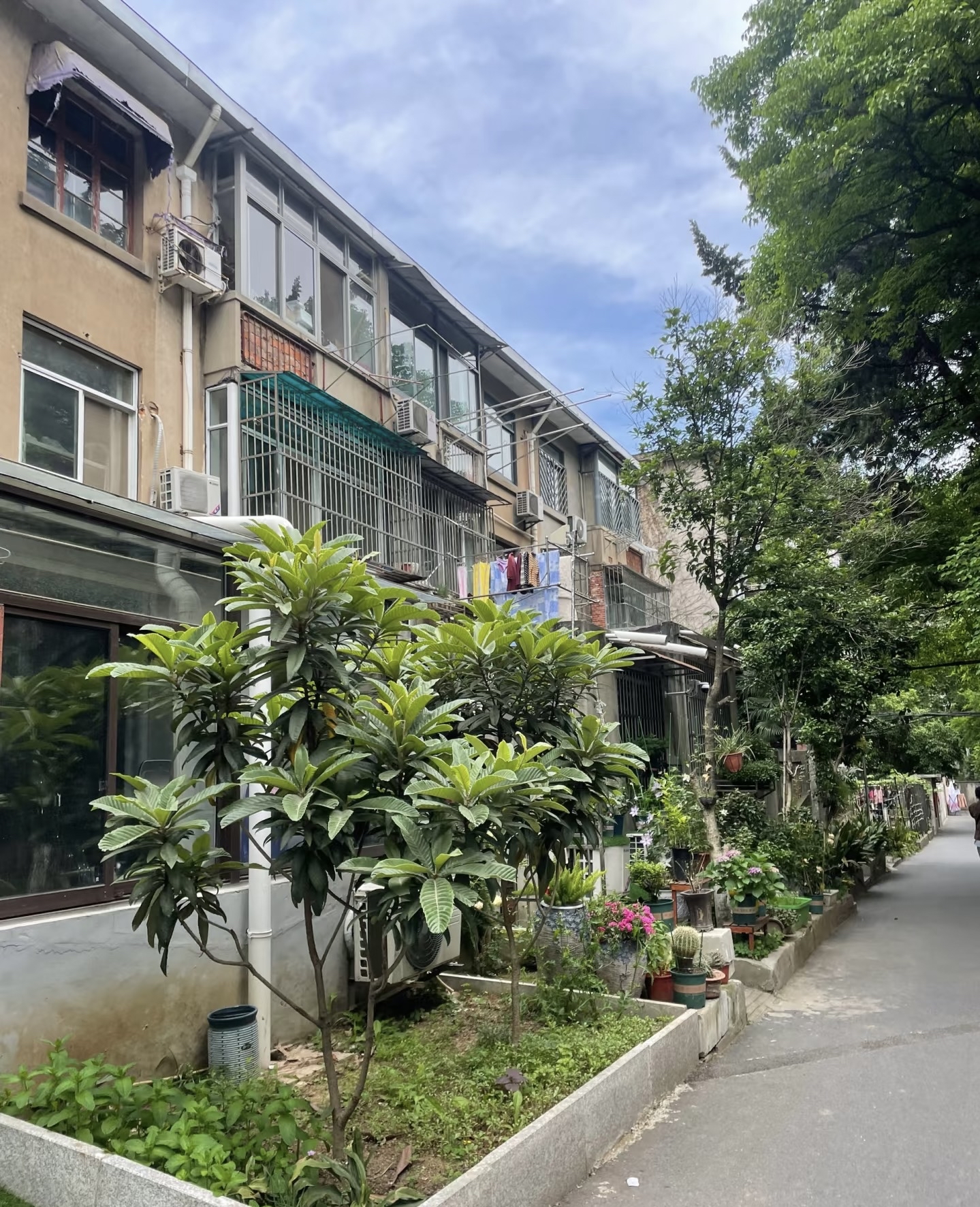 老旧小区就像一本泛黄的故事书,即便墙皮斑驳,楼道昏