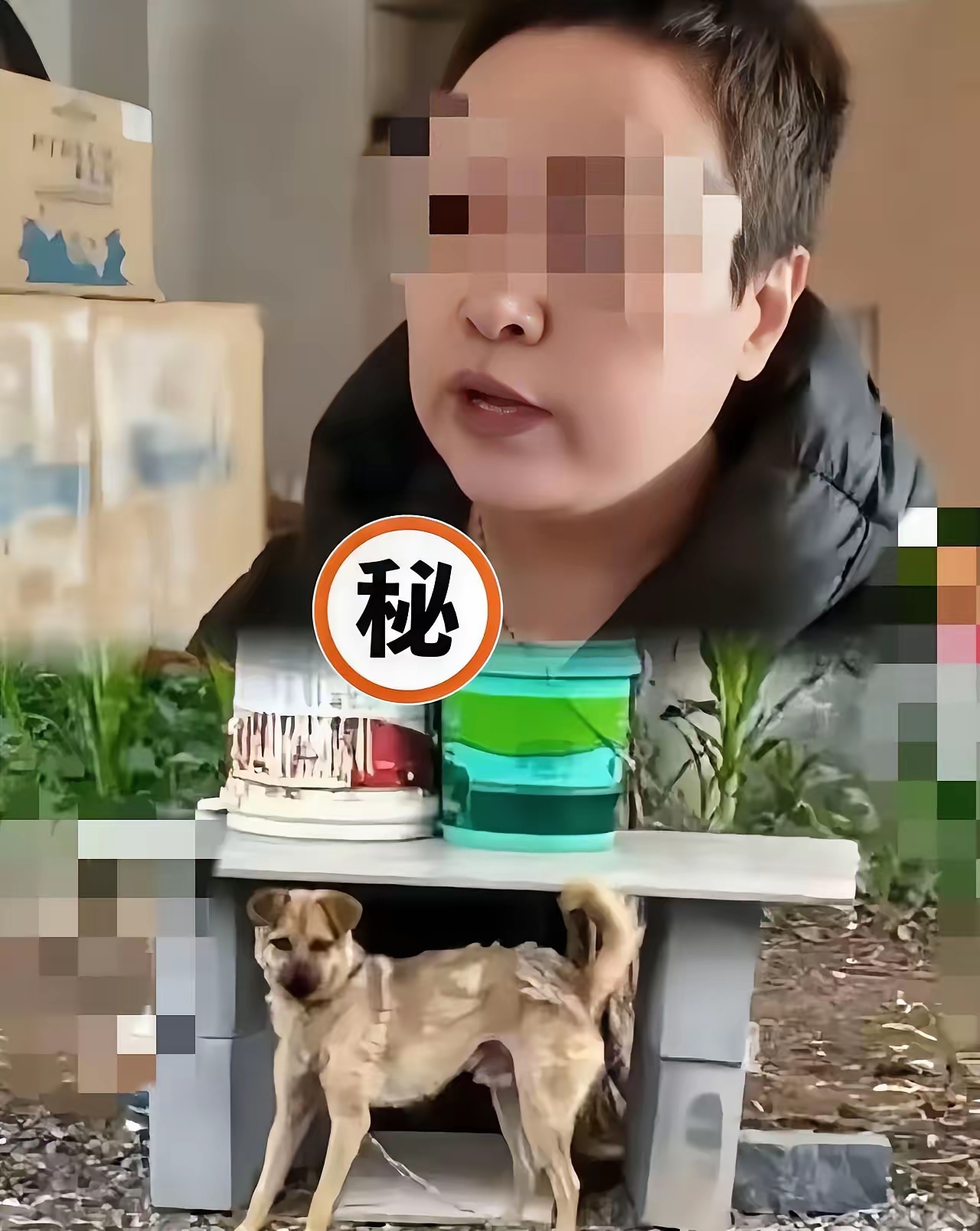 长治狗咬人案 有网友有个大胆猜测死者郭某某 会不会是被亲妹妹郭