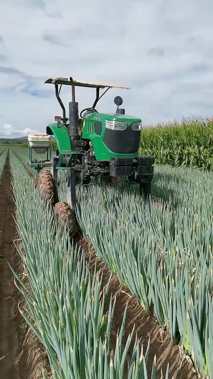 农业机械化 大葱培土机