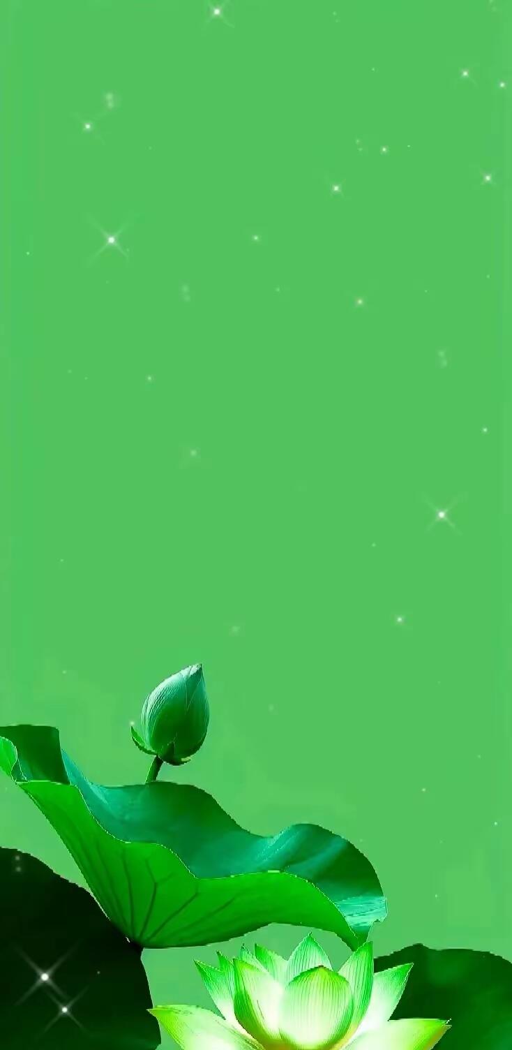 你该换纯色护眼手机锁屏壁纸了