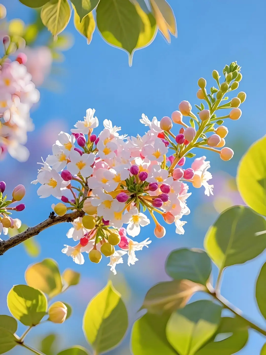 三月请发一条不一样的朋友圈