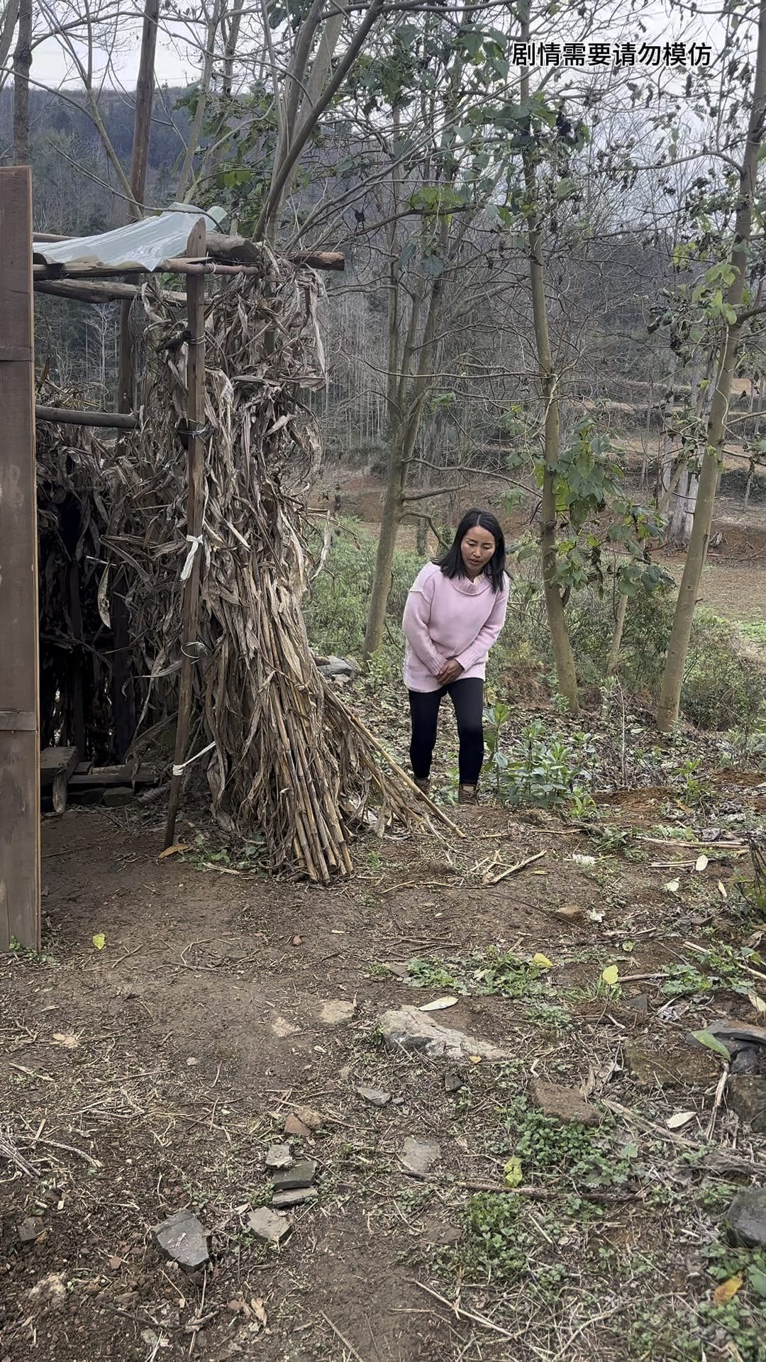 农村女人上厕所我的乡村生活