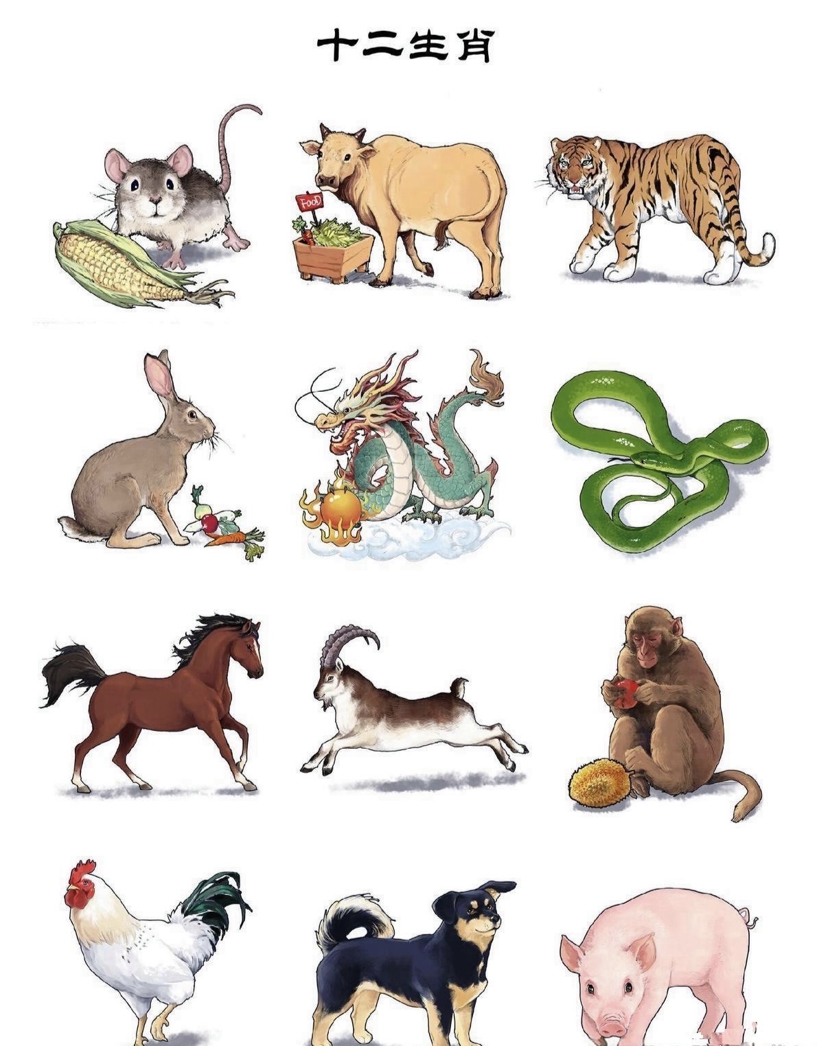 生肖鼠兔年颜色运势图(鼠年属兔的人运势怎么样)