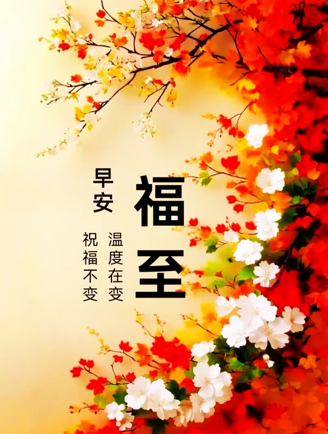 2025年2月19日在正月二十二这个美好的日子里愿你享有连连不断的