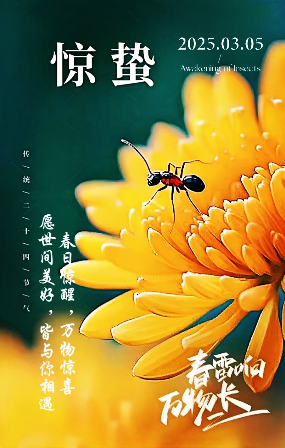 今日惊蛰生肖运势(今日惊蛰生肖运势图)
