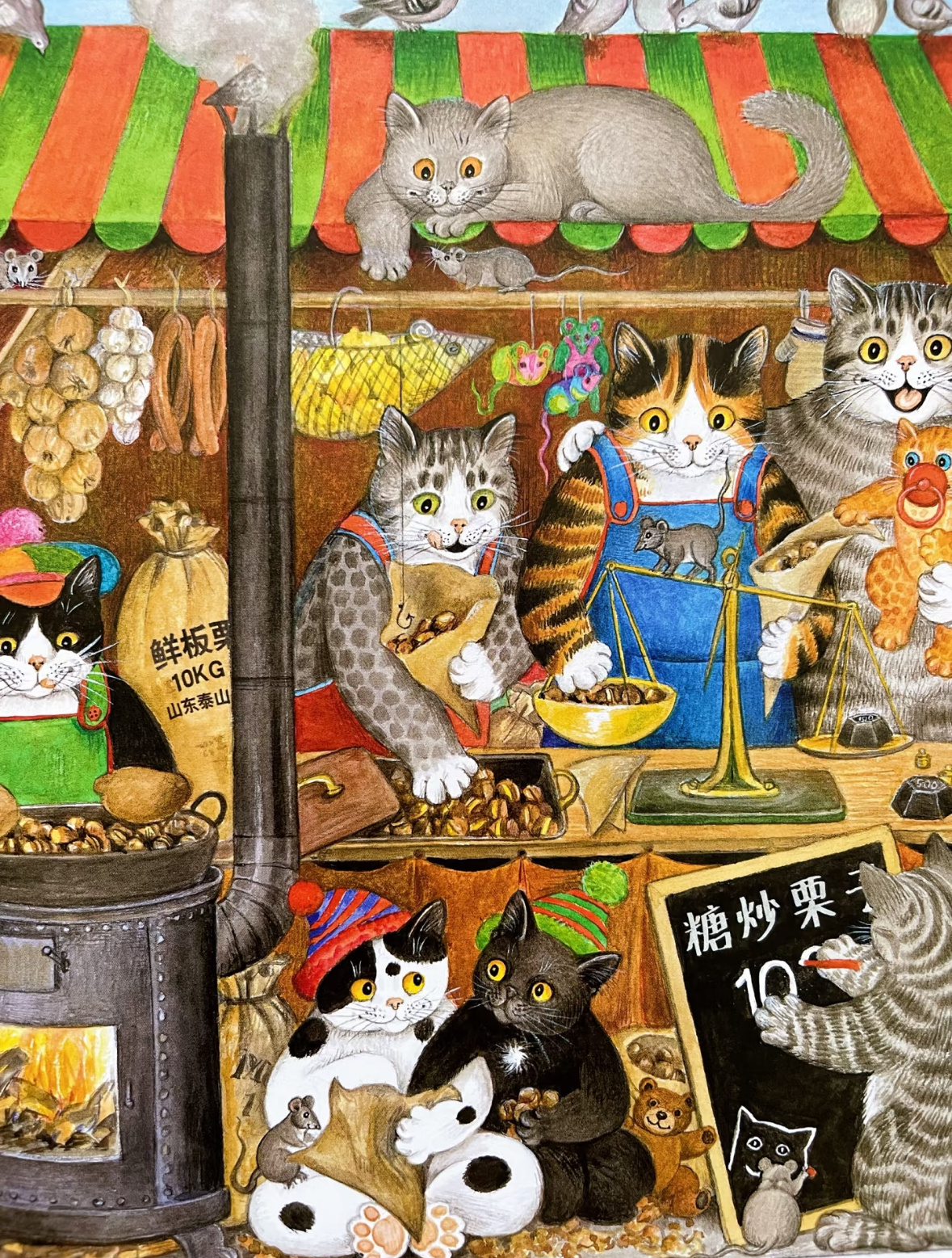 《猫》——欢迎来到我的喵星人小天地