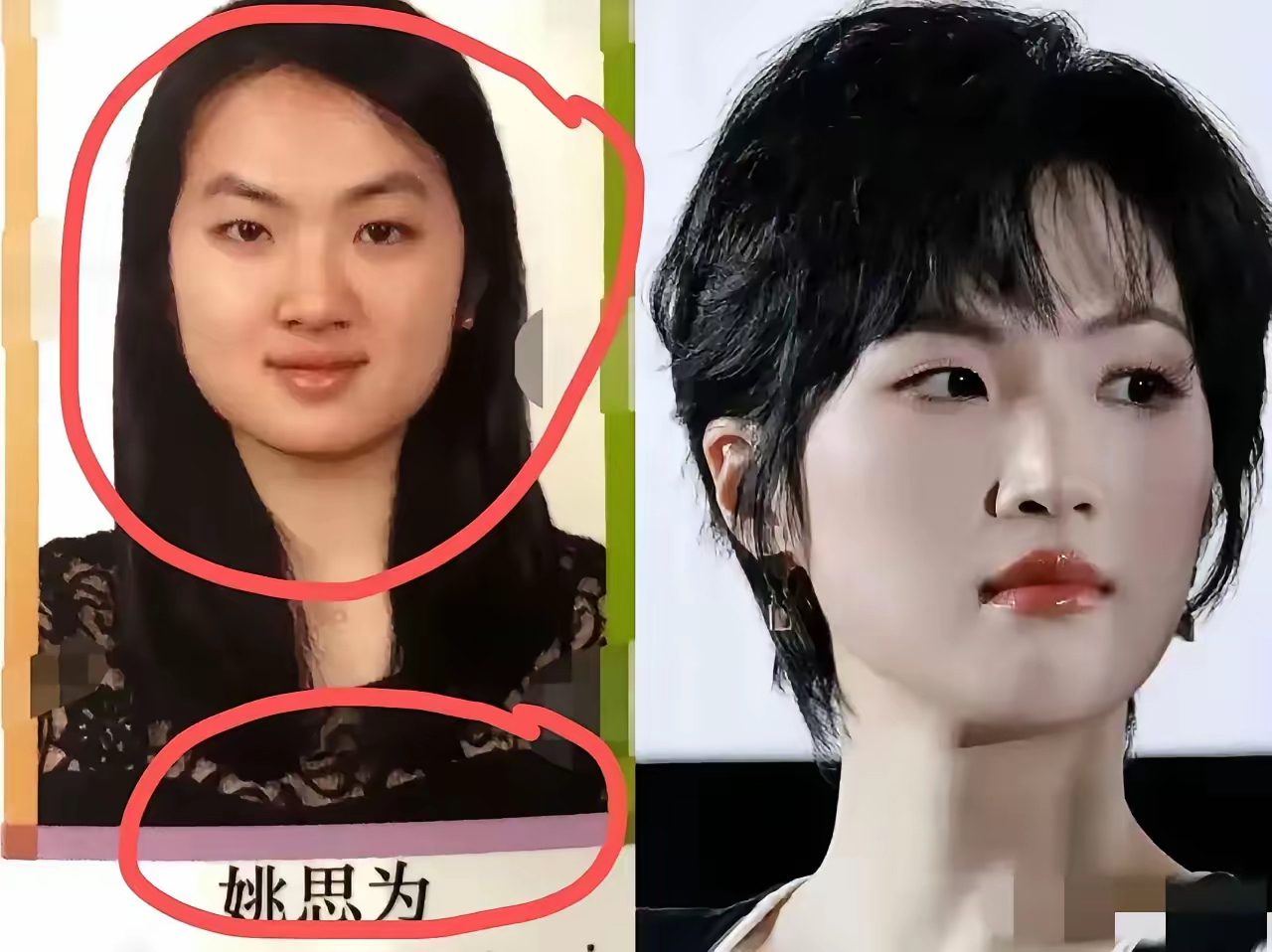 包含任正非的女怎么姓孟姓姚的词条