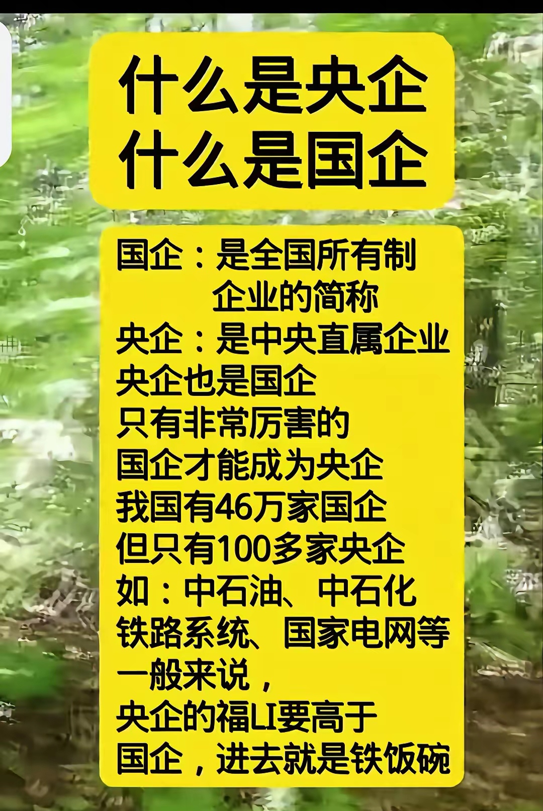 今天终于知道什么是"央企"什么是"国企"了!
