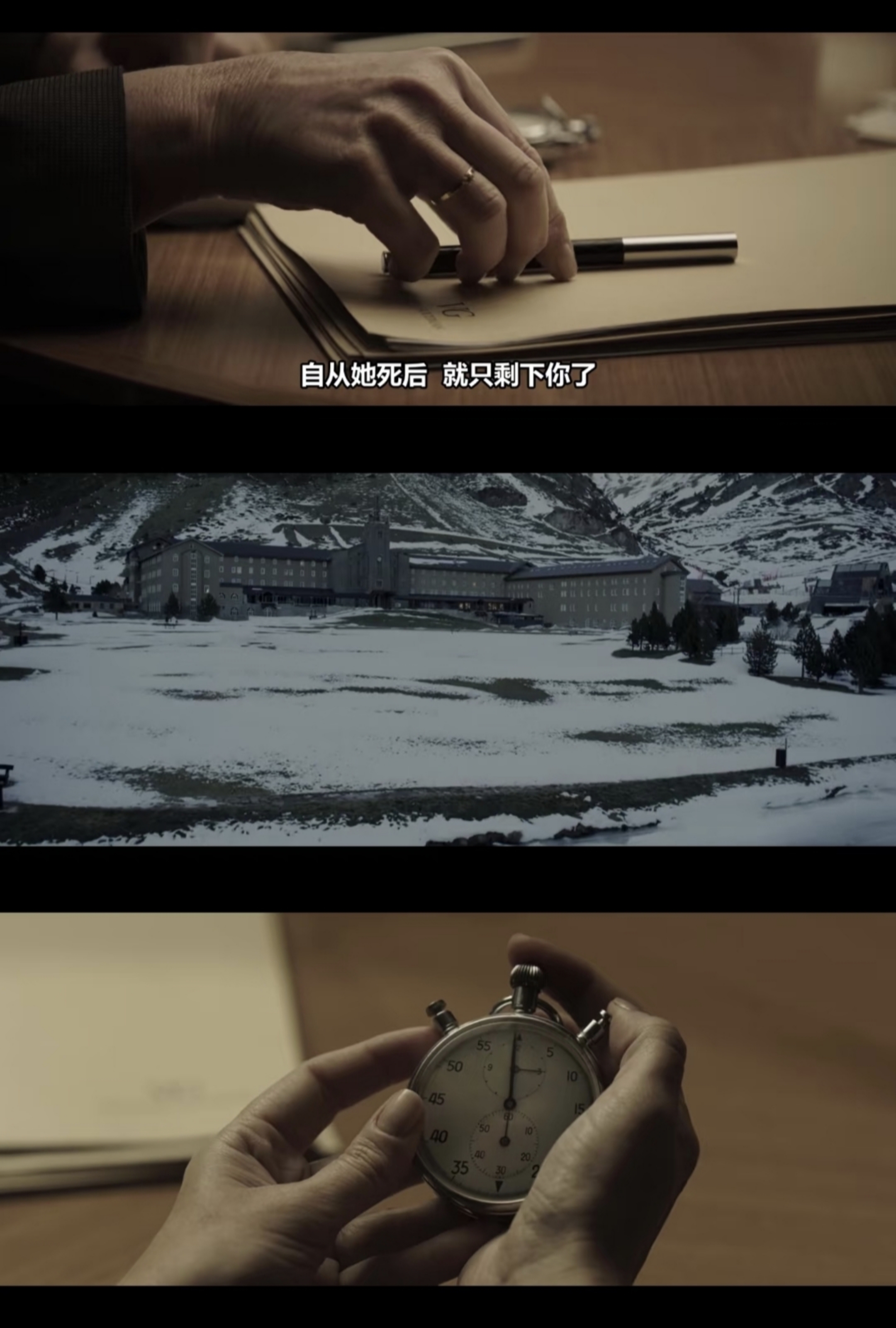 看不见的客人专业影评