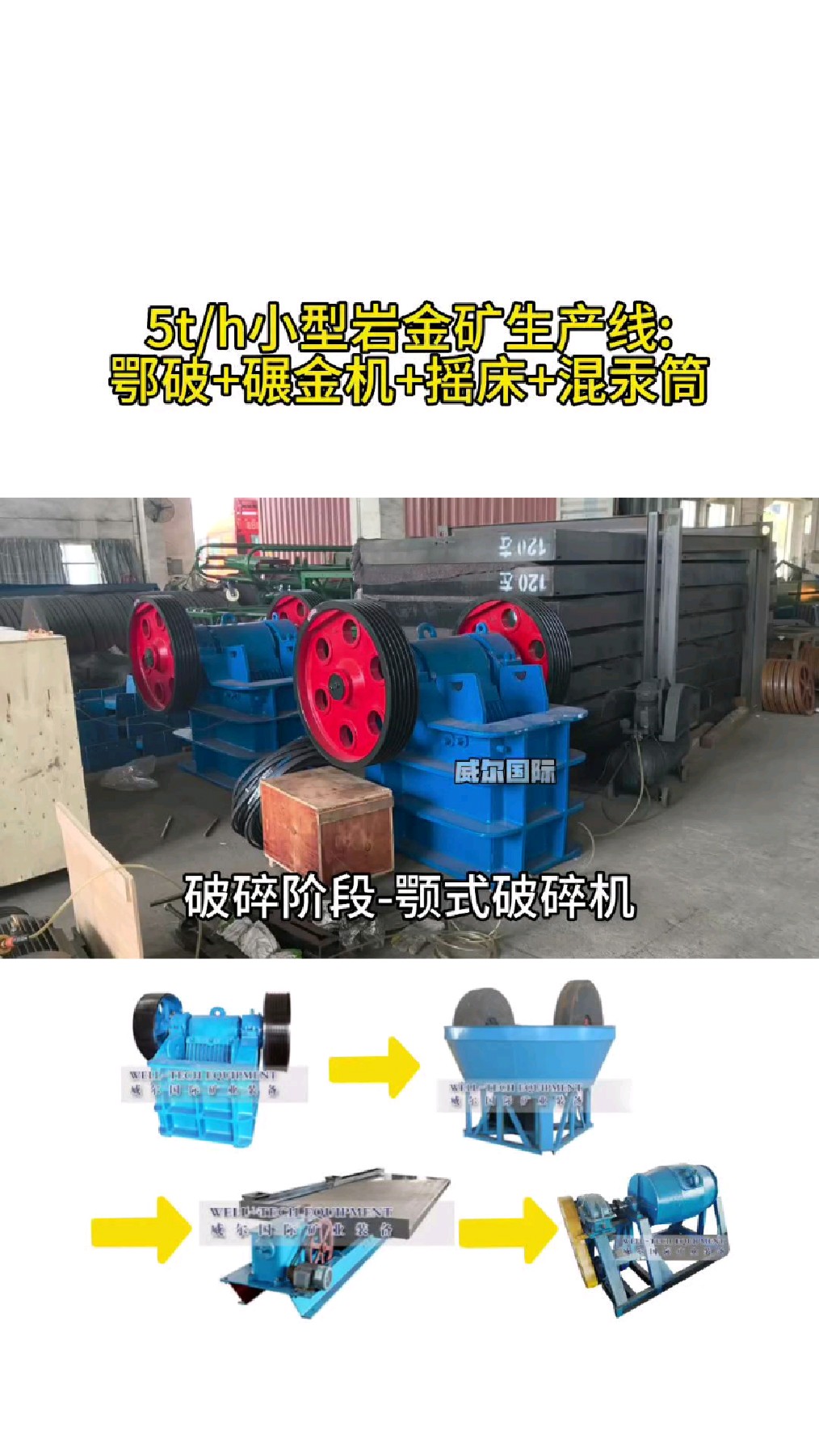 小型岩金矿生产线设备.#岩金矿选矿设备 #金矿生产线全套设备
