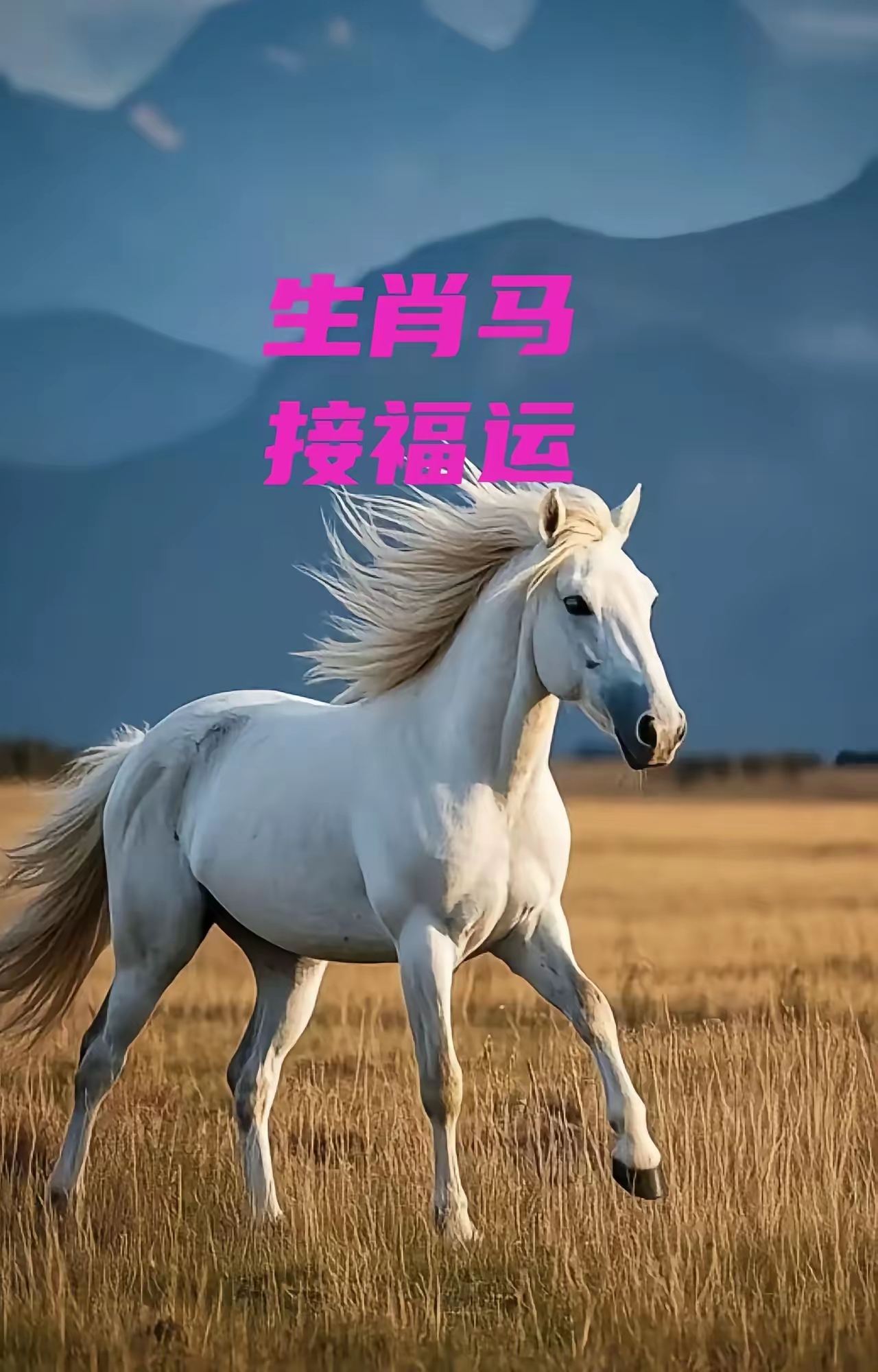 生肖马农历2月运势如何(生肖马农历二月运势)