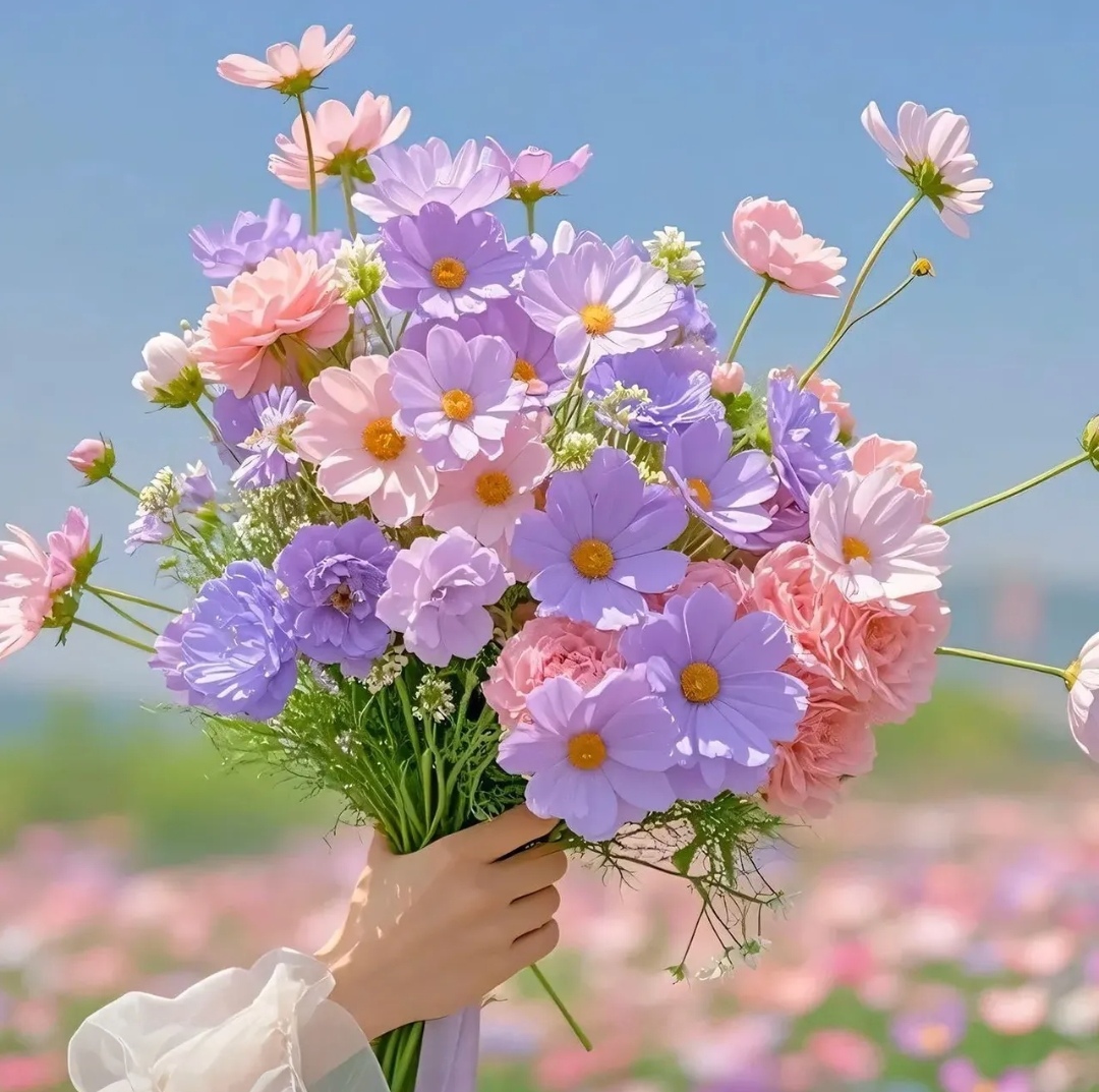 周身却散发着内敛而矜贵的气息,眉眼间尽是岁月静好的模样