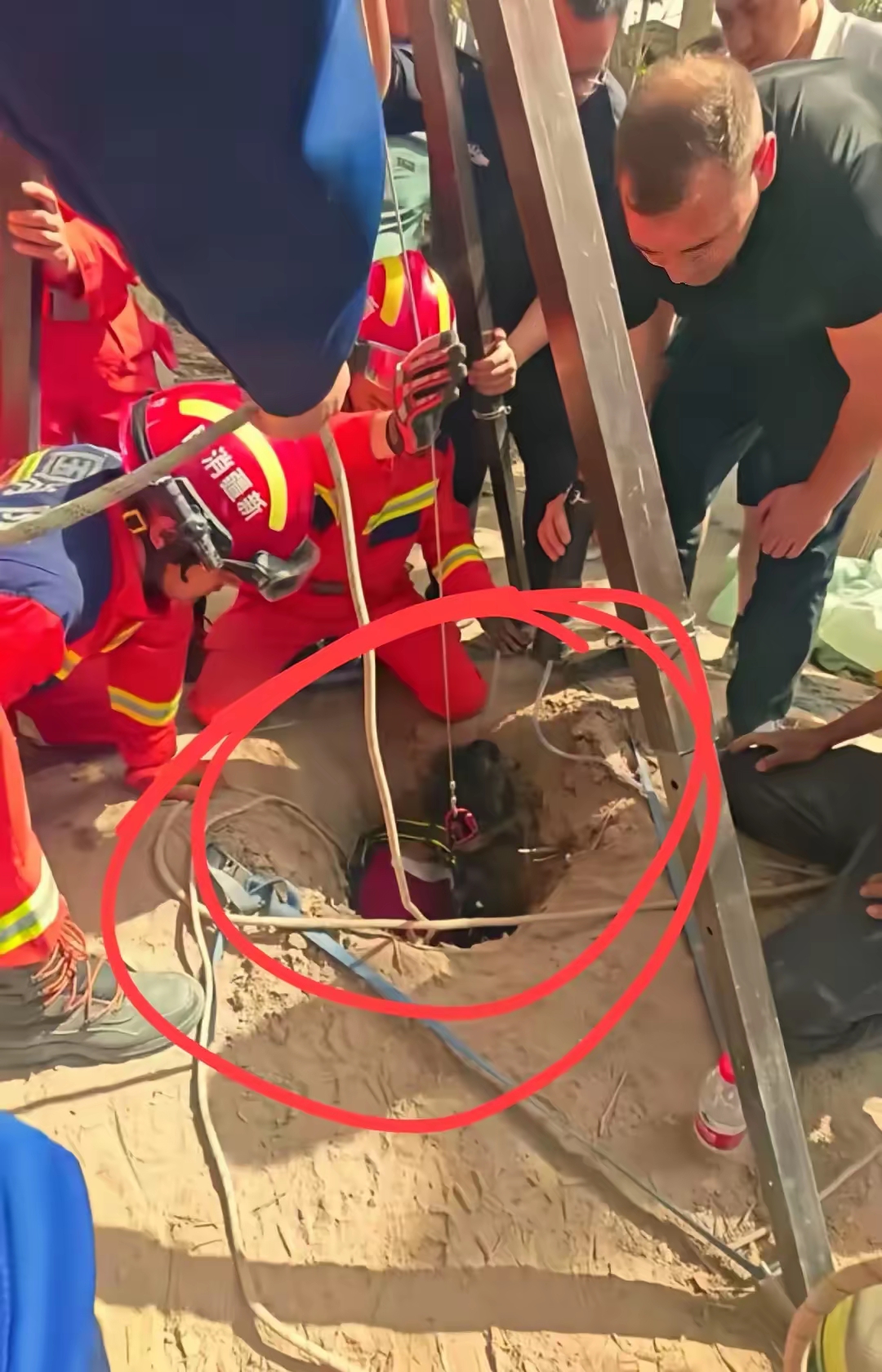 破防了家人们,这个女孩被人民日报点名表扬了,她这样