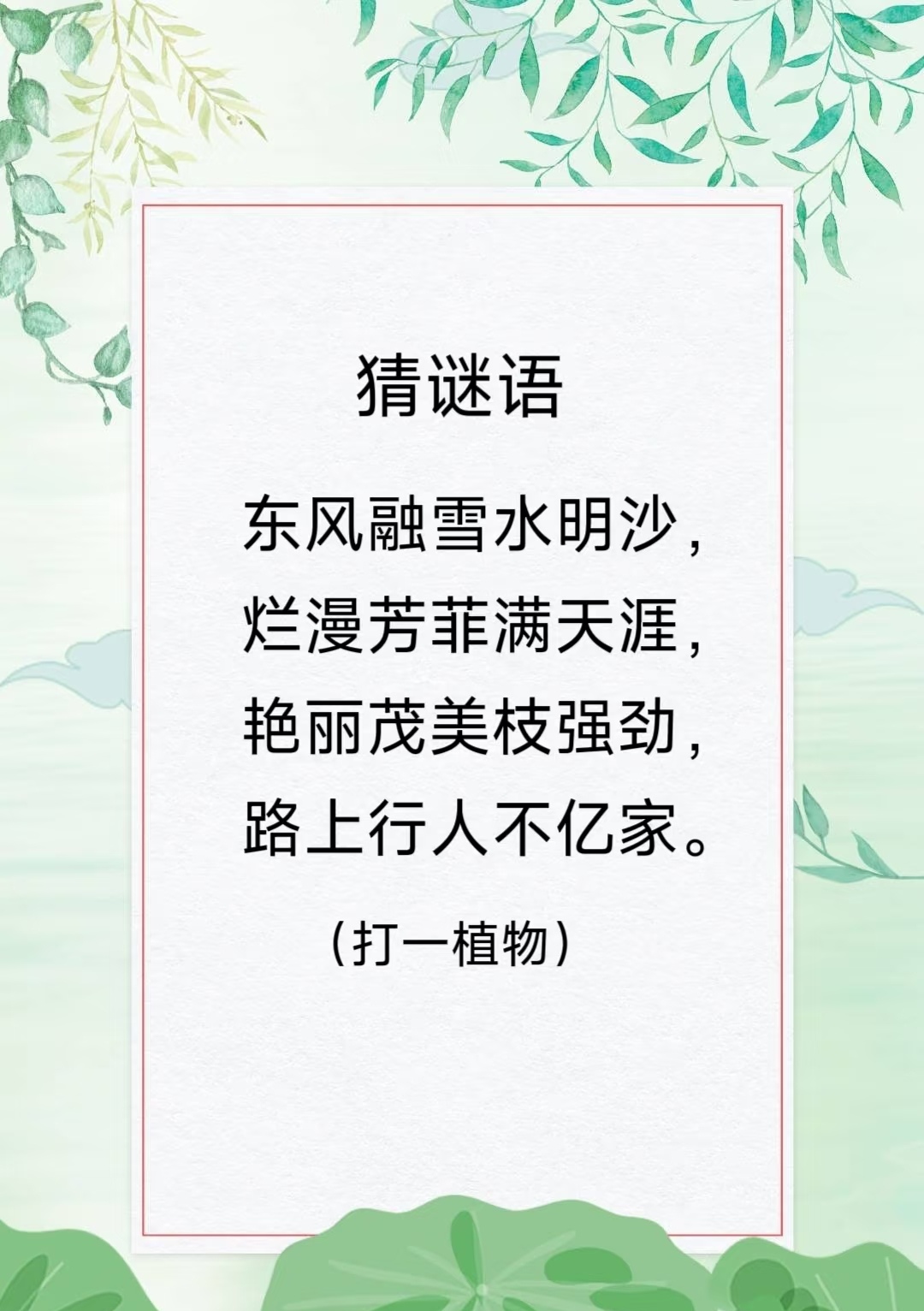 猜谜语益智游戏